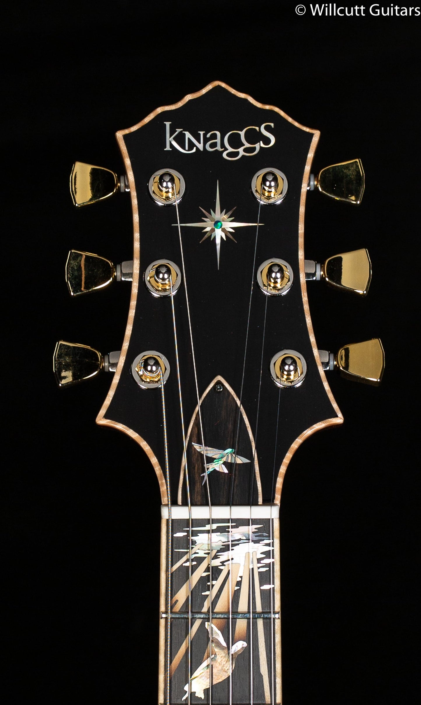 Knaggs Influence Kenai Limited "Reef of Life" Blue Green Quilt Tier 1
