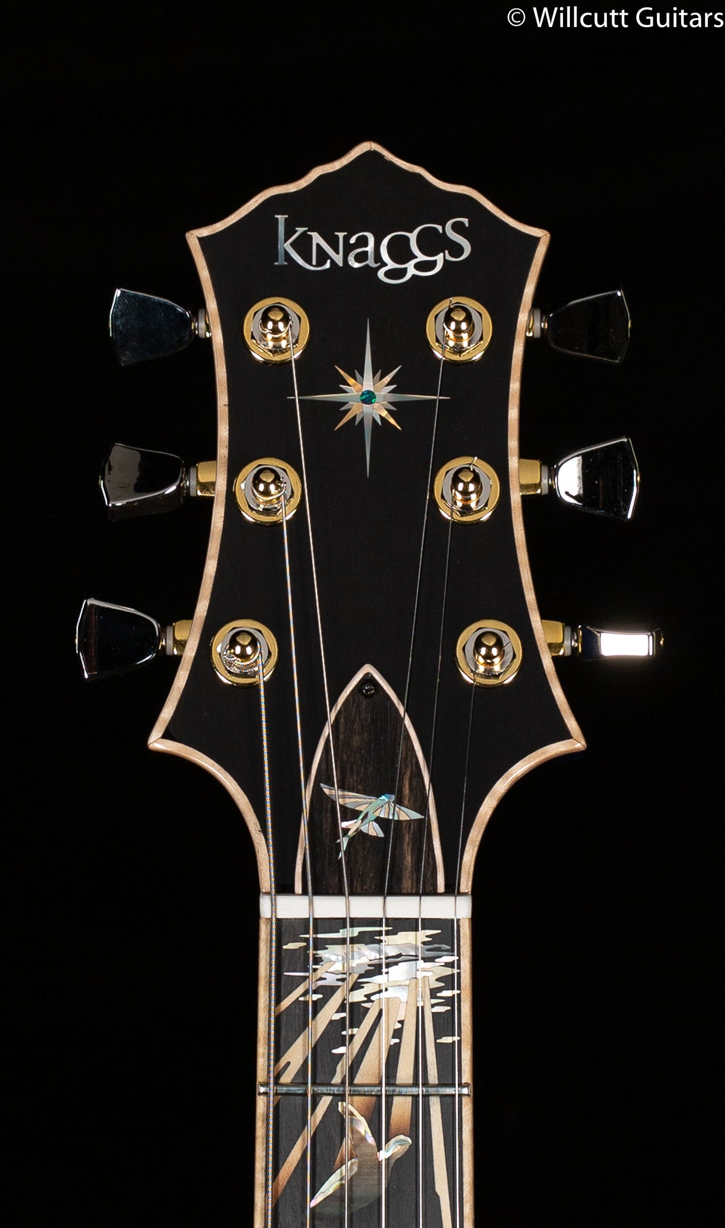 Knaggs Influence Kenai Limited "Reef of Life" Ocean Blue Tier 1