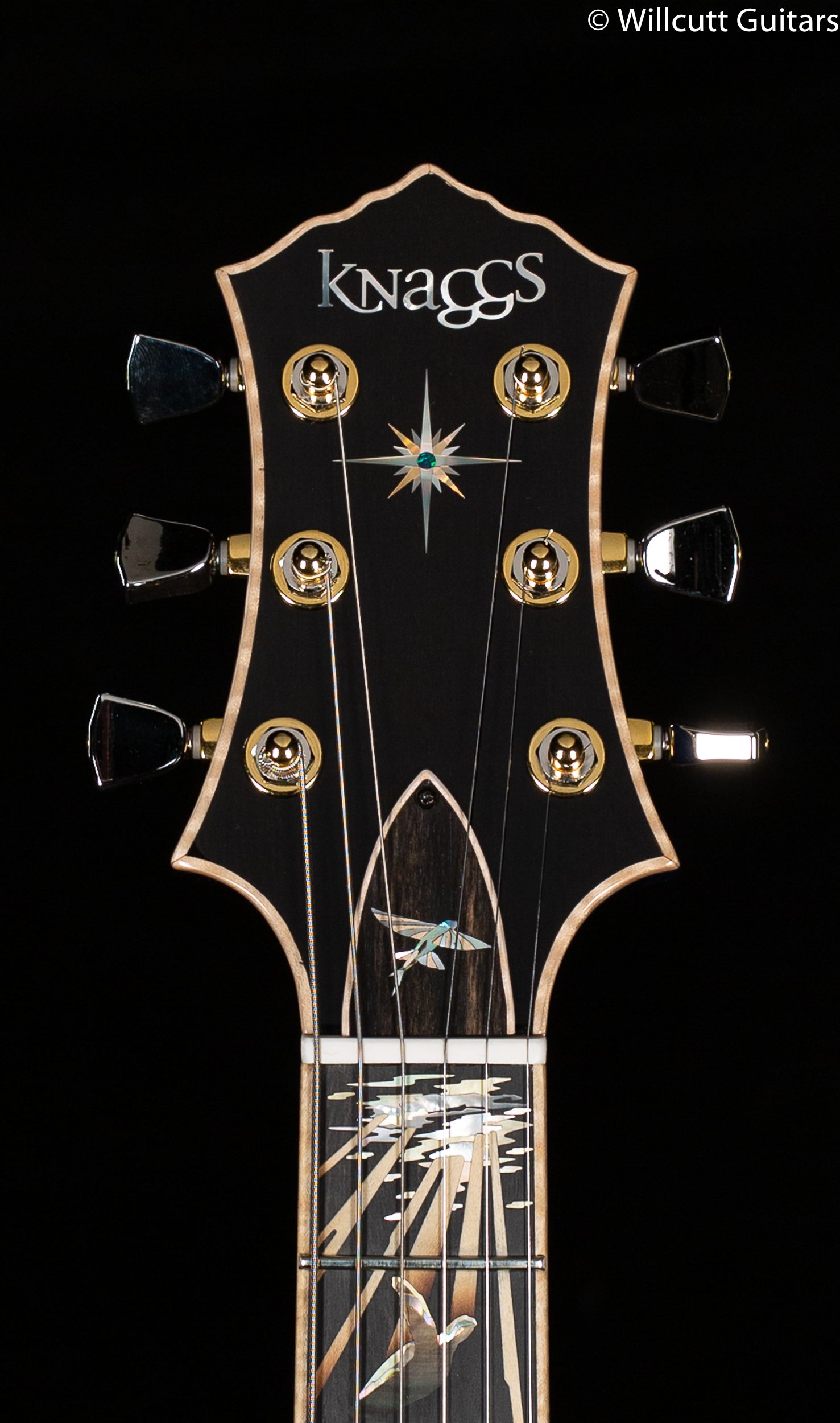 Knaggs Influence Kenai Limited "Reef of Life" Ocean Blue Tier 1