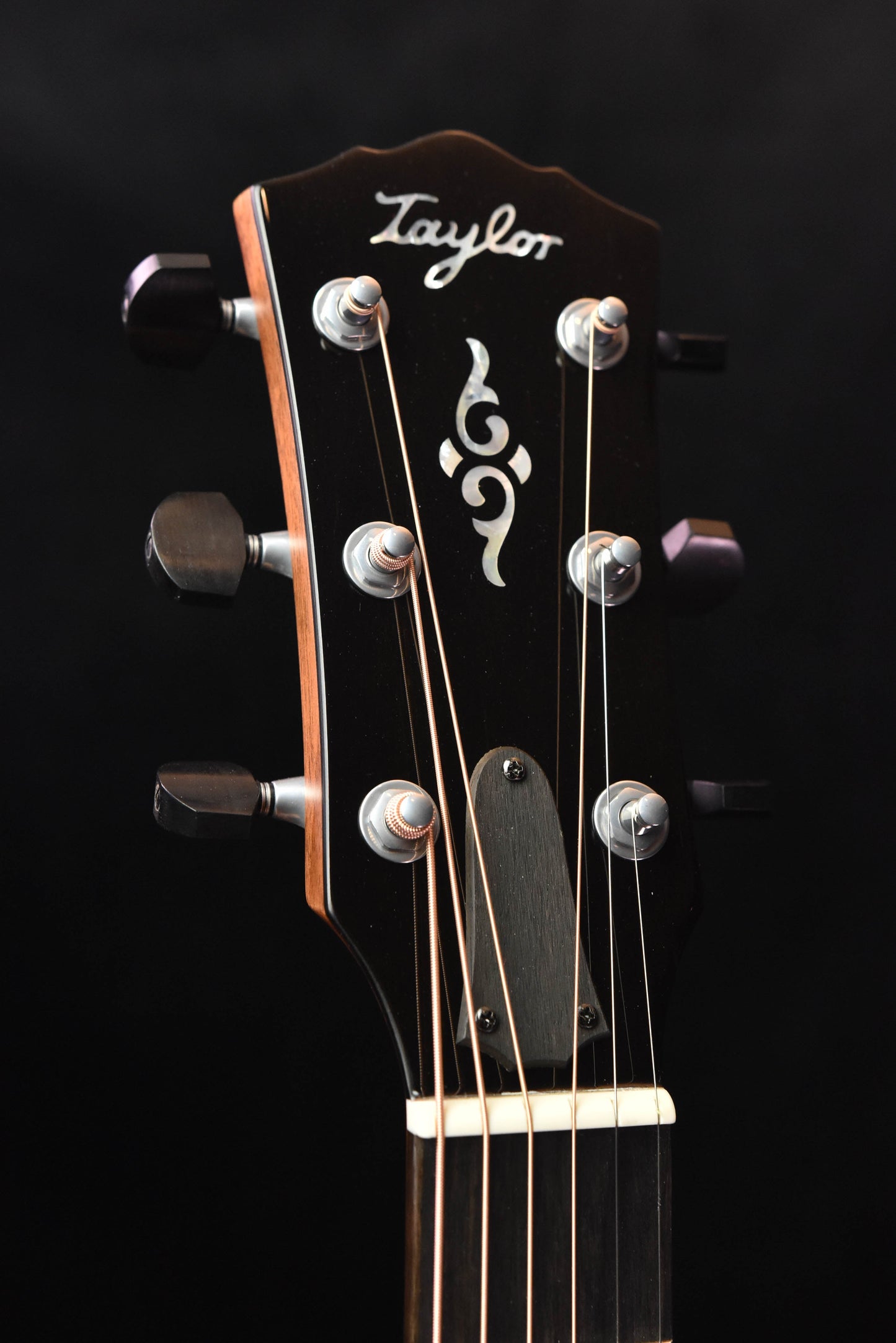 Taylor Gold Label 810E Honduran Rosewood and Torrefied Sitka Spruce Acoustic Guitar (Copy)