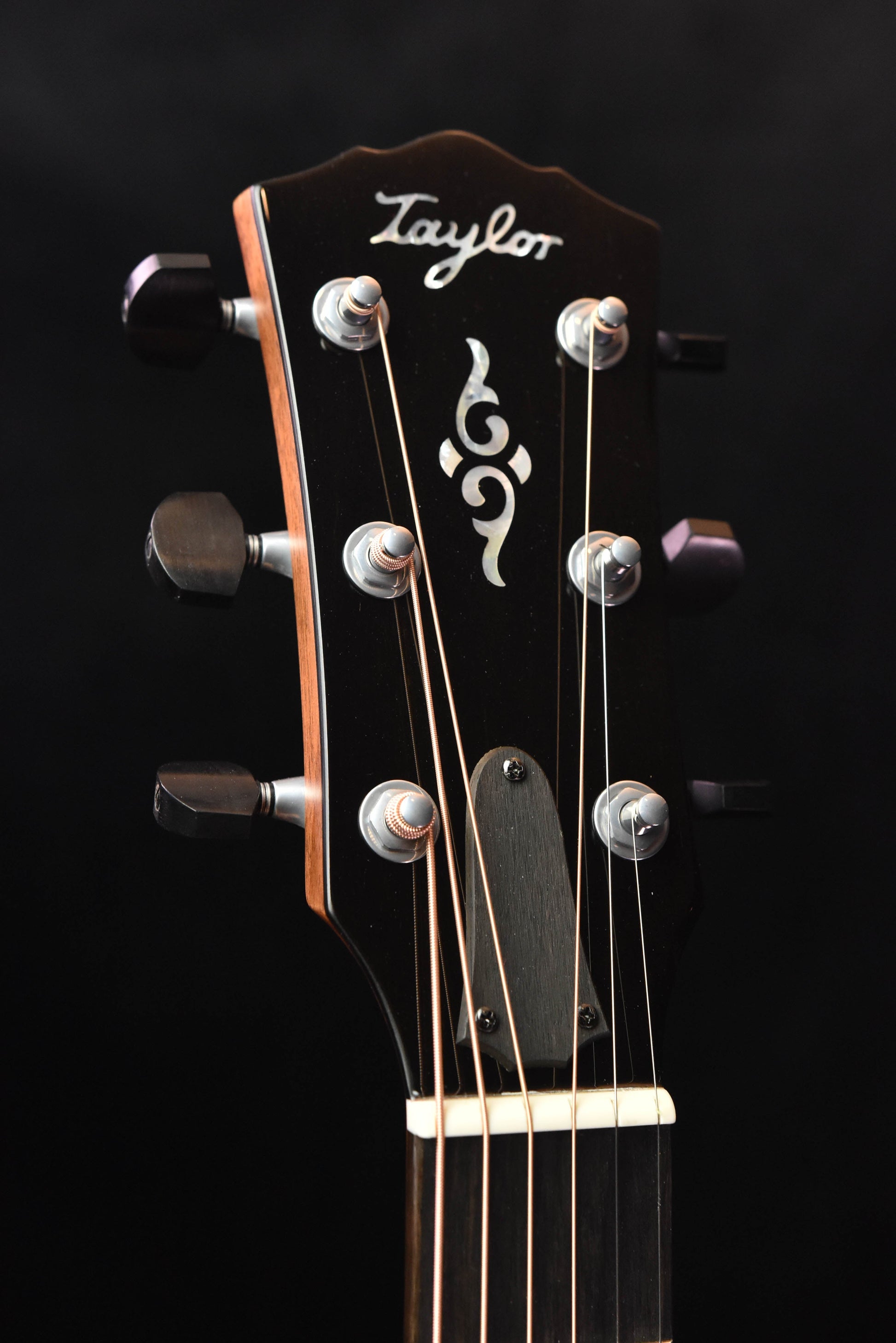Taylor Gold Label 810E Honduran Rosewood and Torrefied Sitka Spruce Acoustic Guitar (Copy)