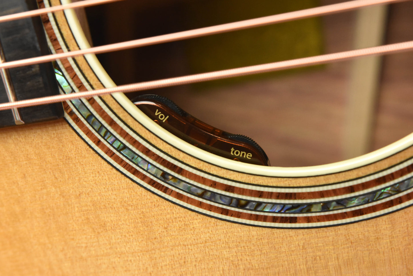 Taylor Gold Label 810E Honduran Rosewood and Torrefied Sitka Spruce Acoustic Guitar (Copy)