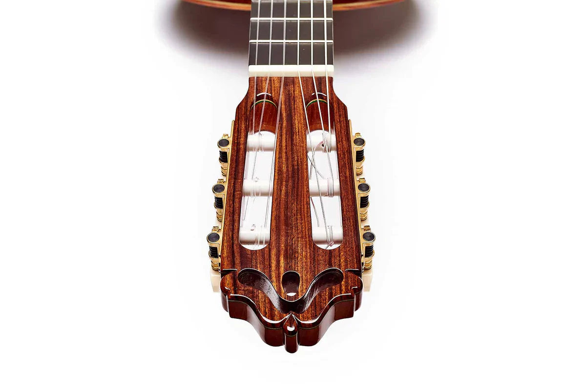 Esteve Model 12CD Adalid Cedar Top Classical Guitar