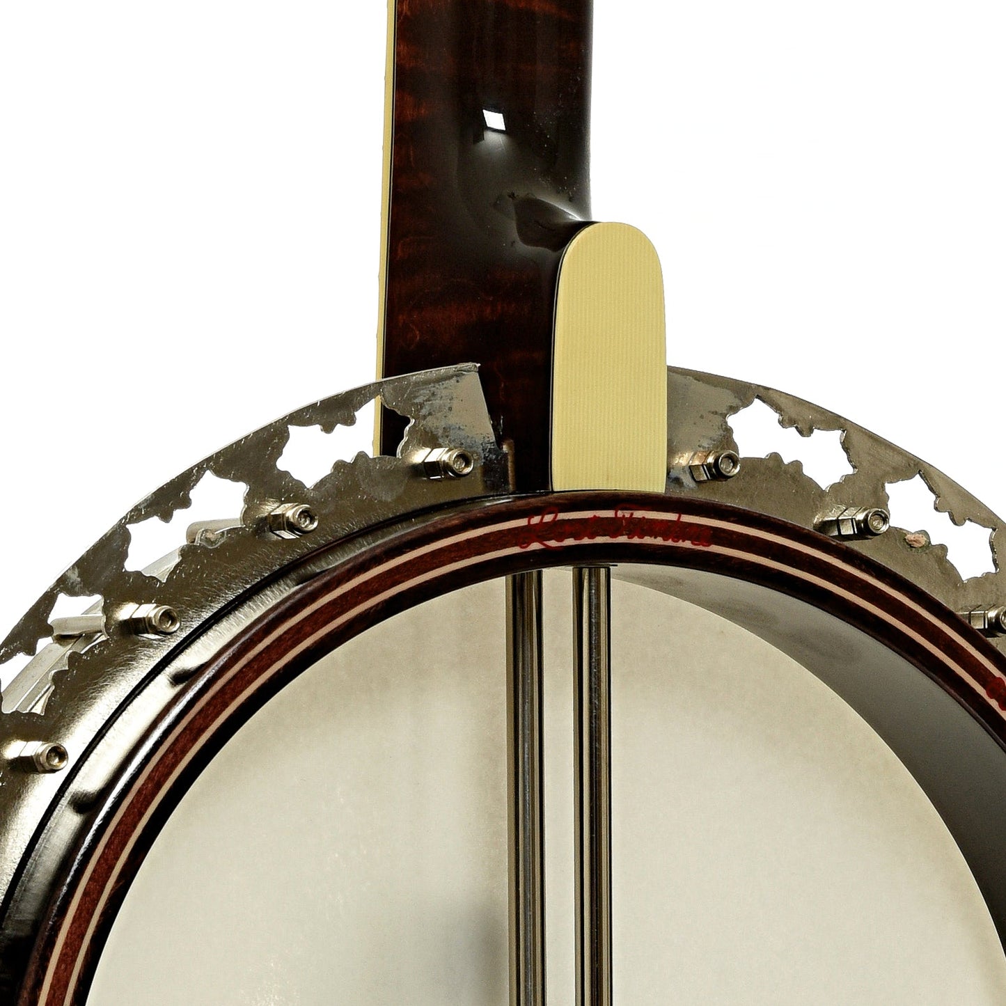 Stelling Sunflower Resonator Banjo (2012)