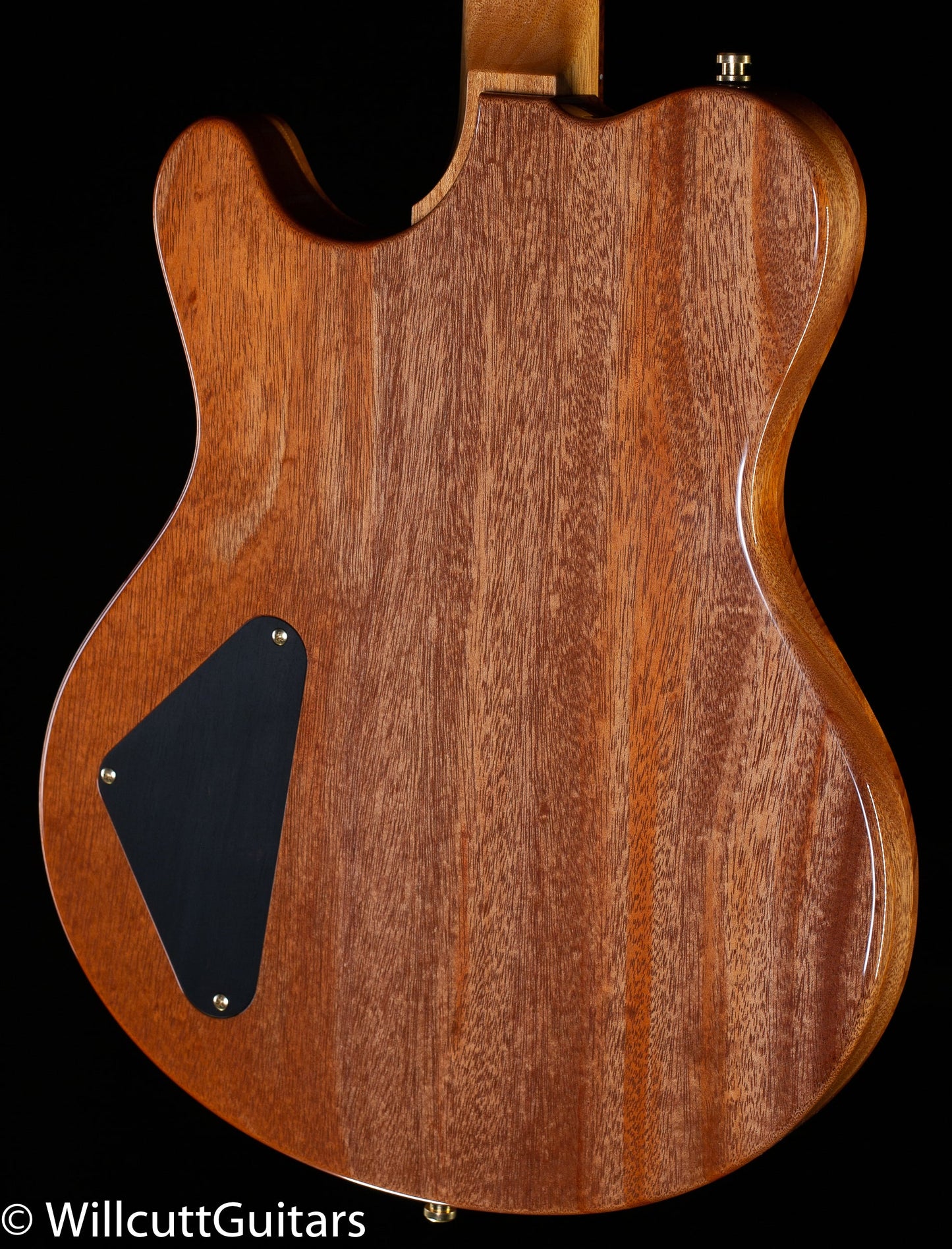 Nik Huber Redwood Dolphin Tigereye Burst (669)
