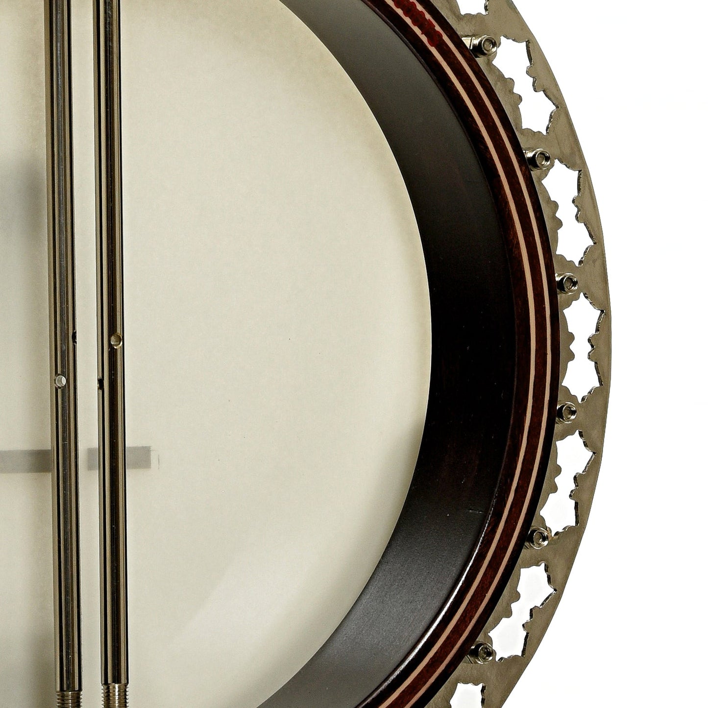 Stelling Sunflower Resonator Banjo (2012)