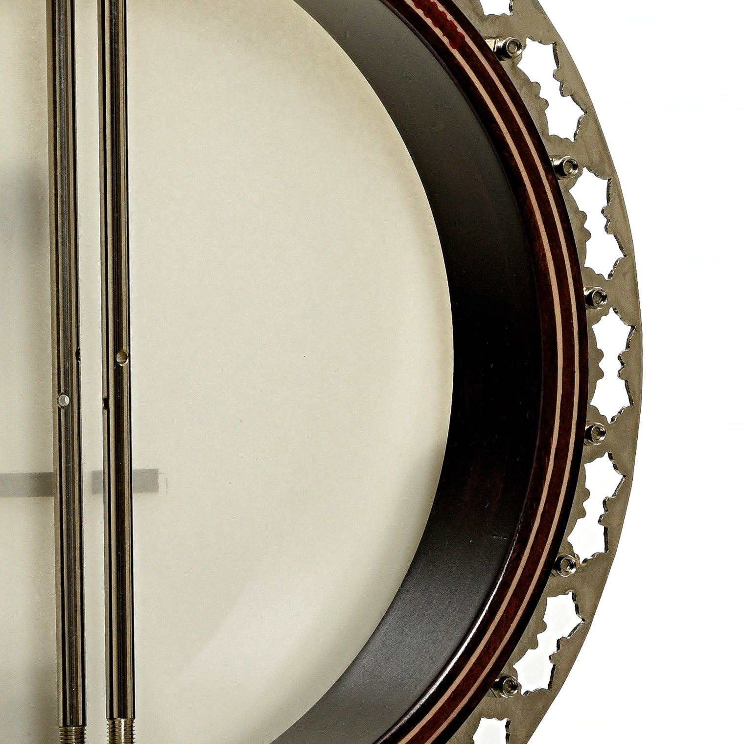 Stelling Sunflower Resonator Banjo (2012)
