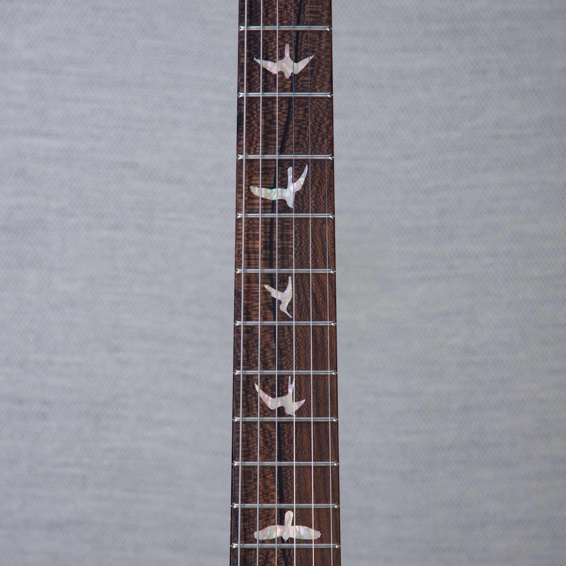 PRS Paul's Guitar Mango Custom Color Electric Guitar - Natural Dark Burst - #260423704
