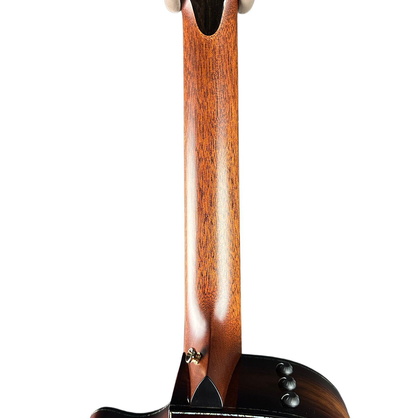 Taylor Presentation Series PS52ce 12-string Acoustic-electric