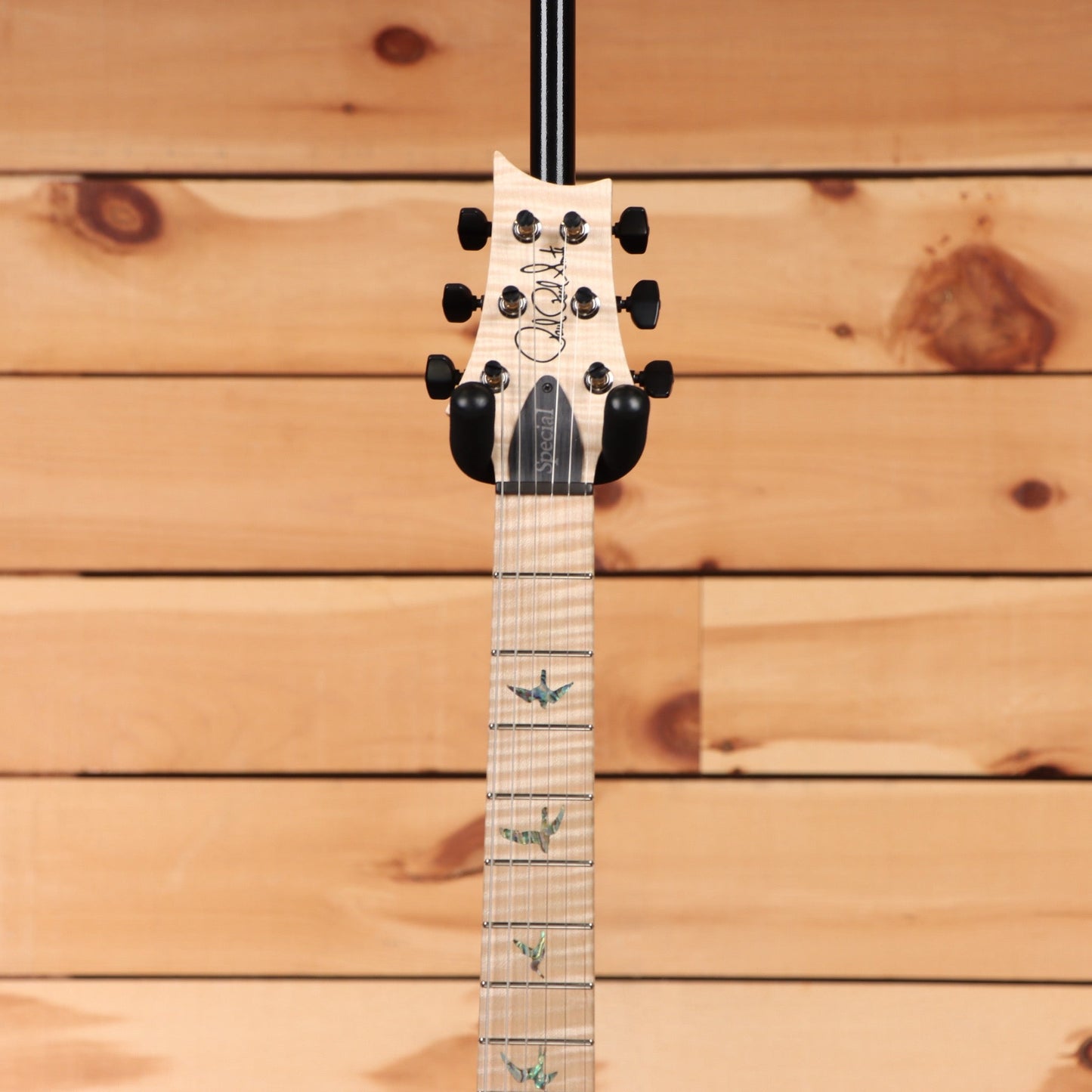 Paul Reed Smith Special Semi Hollow Wood Library - Makena Blue