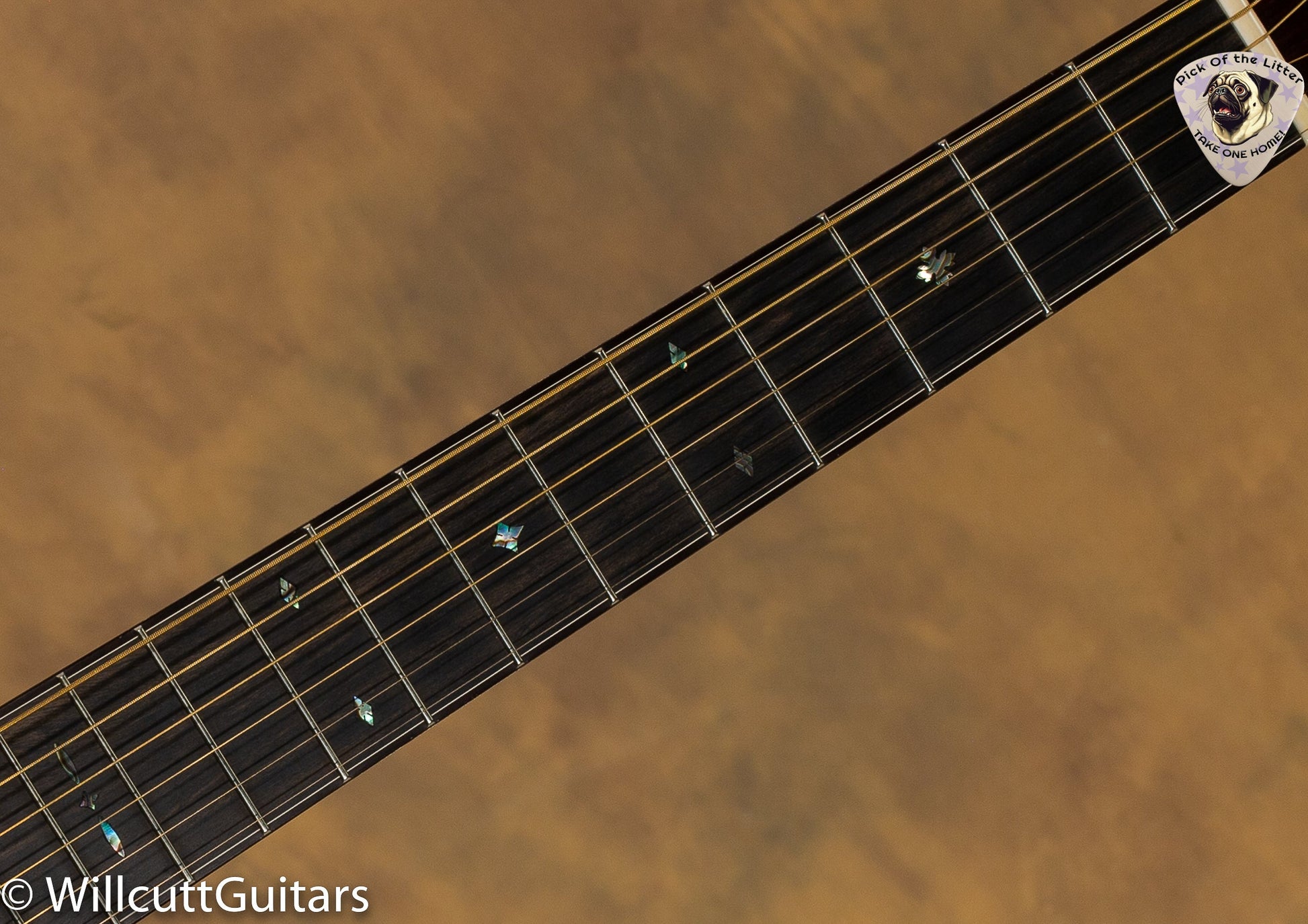 2015 Preston Thompson D-12 MA 12 Fret Dreadnought