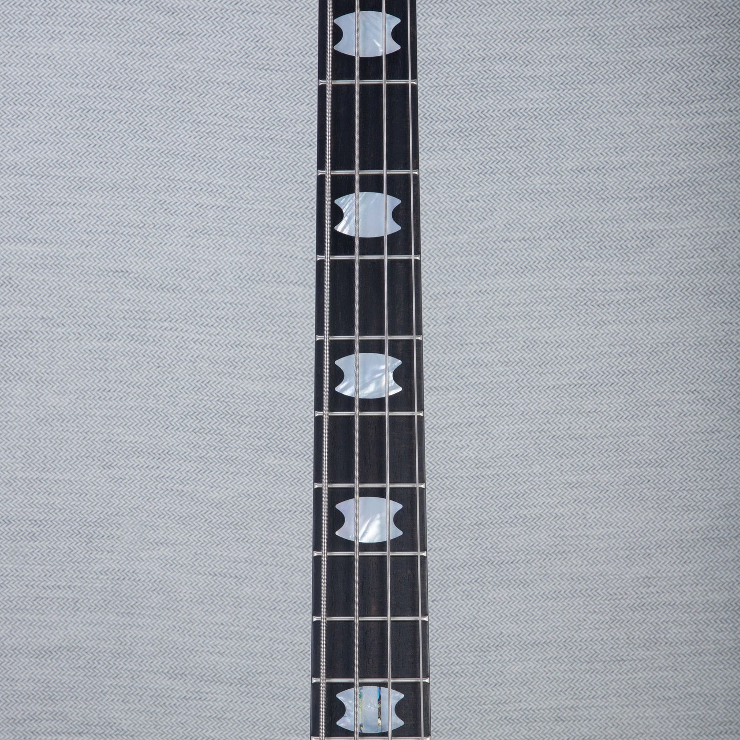 Spector USA Custom NS-2 Legends of Racing Limited Edition Bass Guitar - “The Lion” - CHUCKSCLUSIVE - #1597