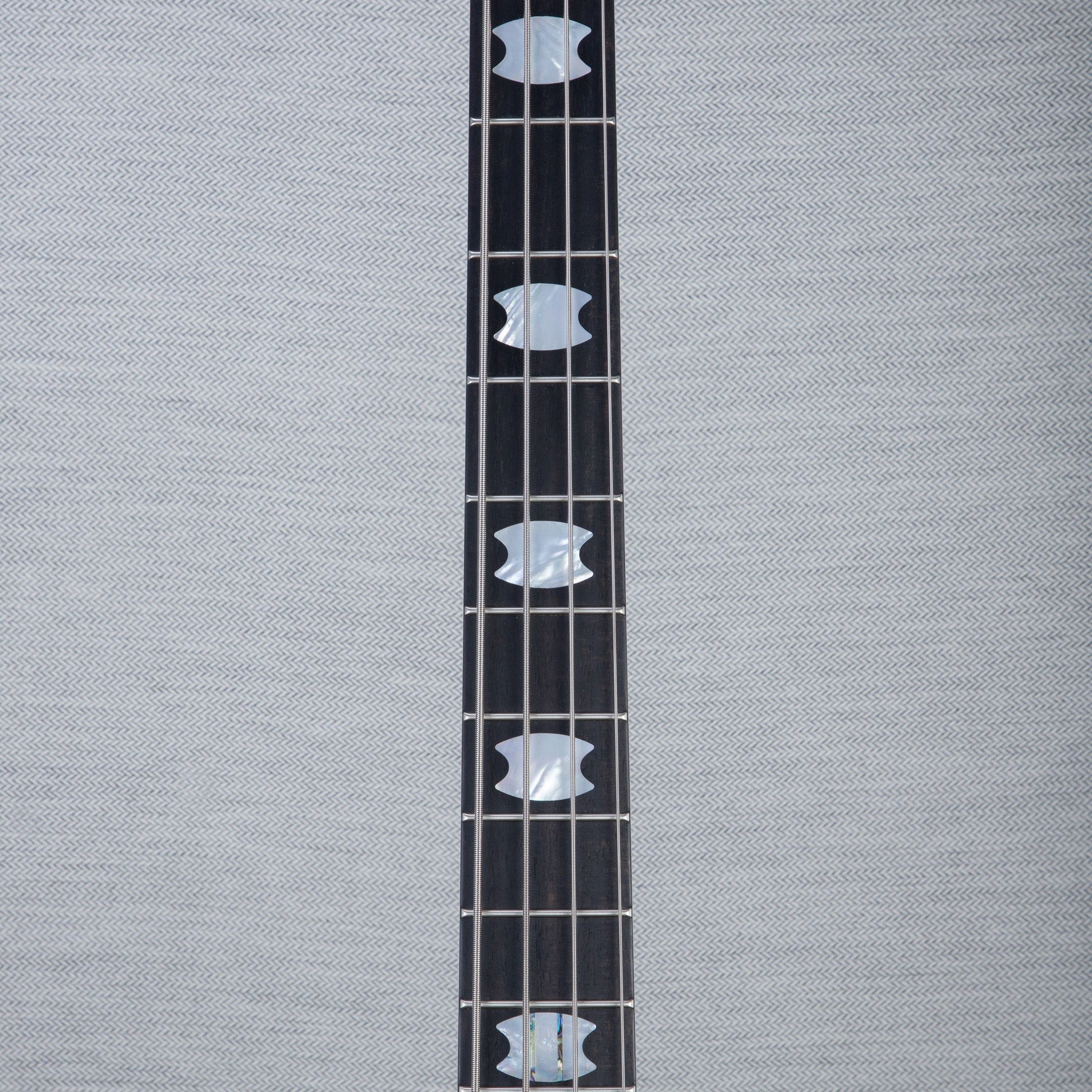 Spector USA Custom NS-2 Legends of Racing Limited Edition Bass Guitar - “The Lion” - CHUCKSCLUSIVE - #1597