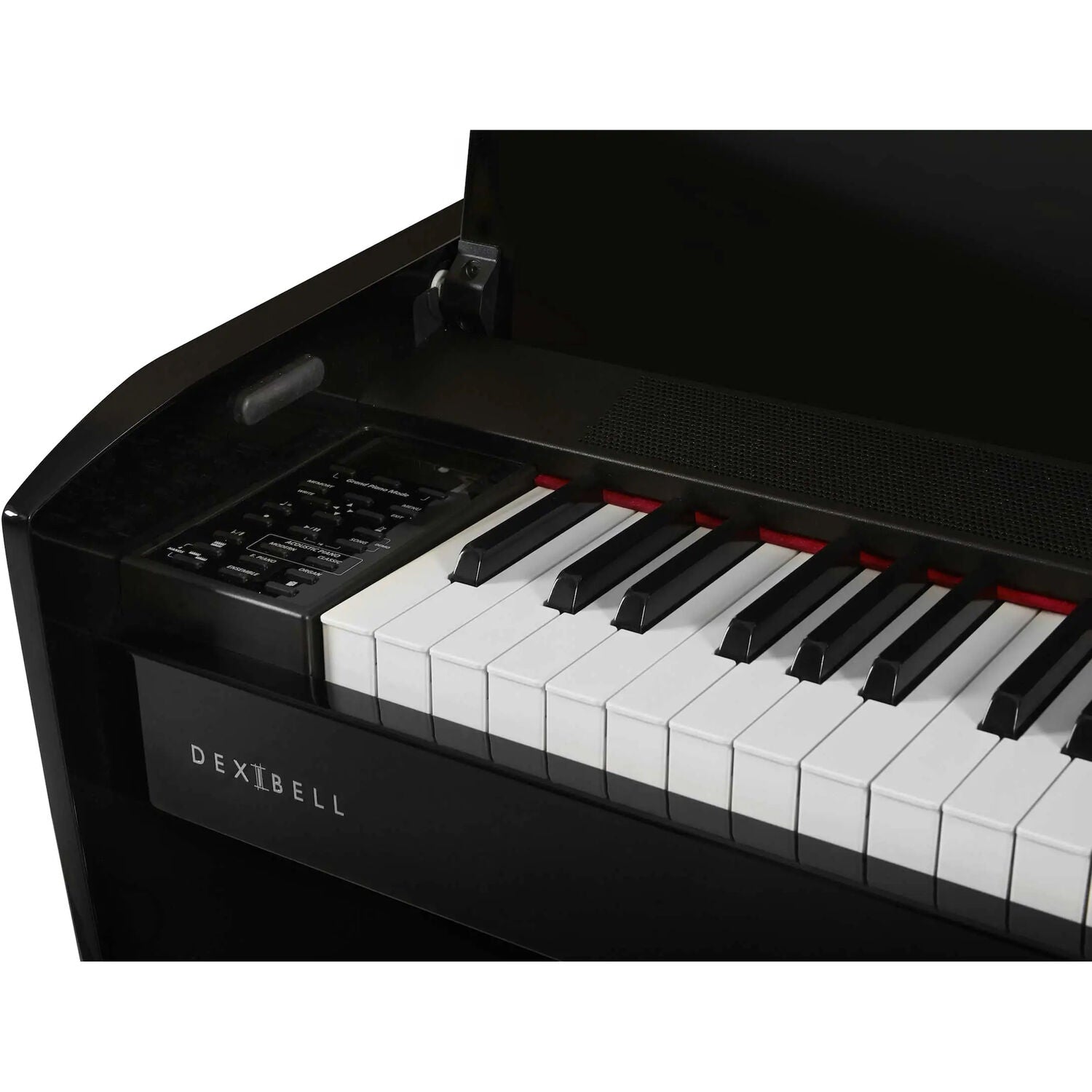Dexibell VIVOH10BKP VIVO H10 Digital Upright Piano with Bench (Polished Black)