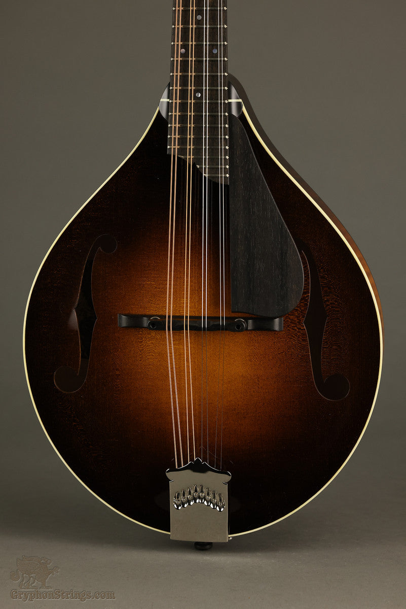 Collings MT Gloss Top w/ Pickguard Mandolin - New