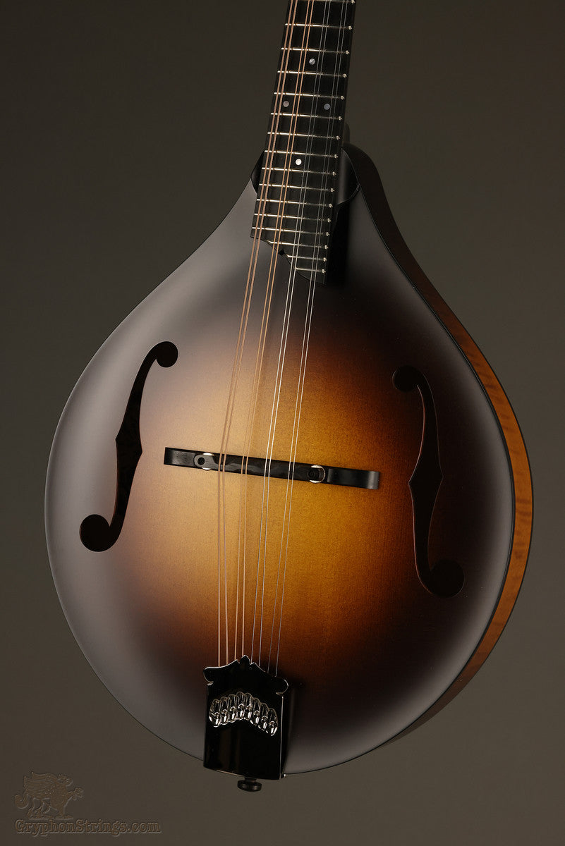 Collings MT Mandolin - New