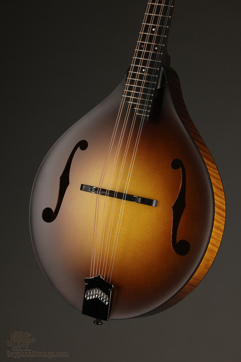 Collings MT Mandola - New