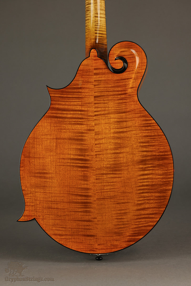 Northfield Big Mon NFB-F5IWN Amber Gloss Italian Spruce Wide Nut - New