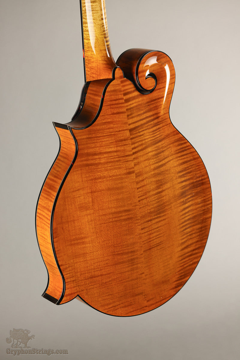 Northfield Big Mon NFB-F5IWN Amber Gloss Italian Spruce Wide Nut - New