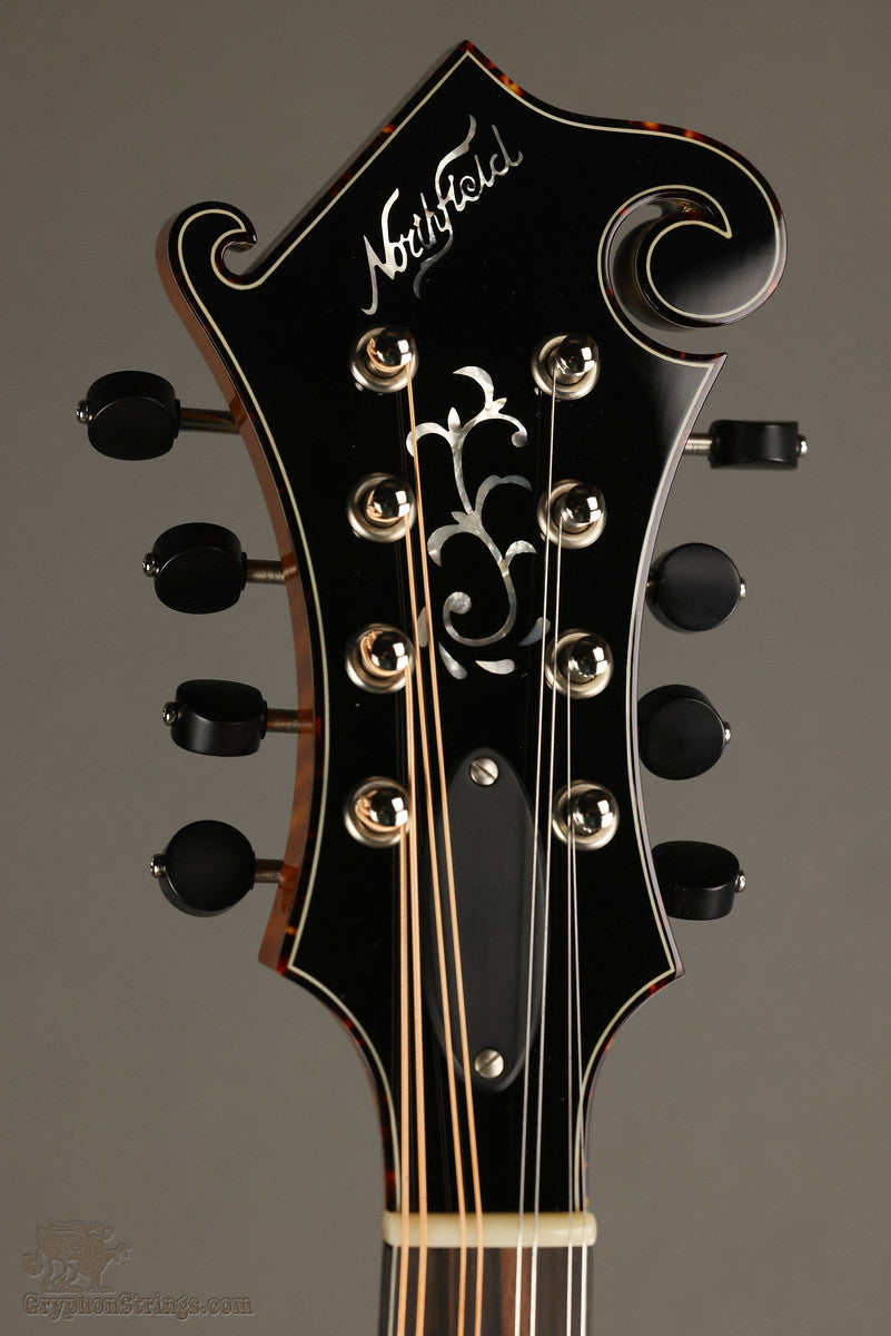 Northfield Big Mon NFB-F5IWN Amber Gloss Italian Spruce Wide Nut - New