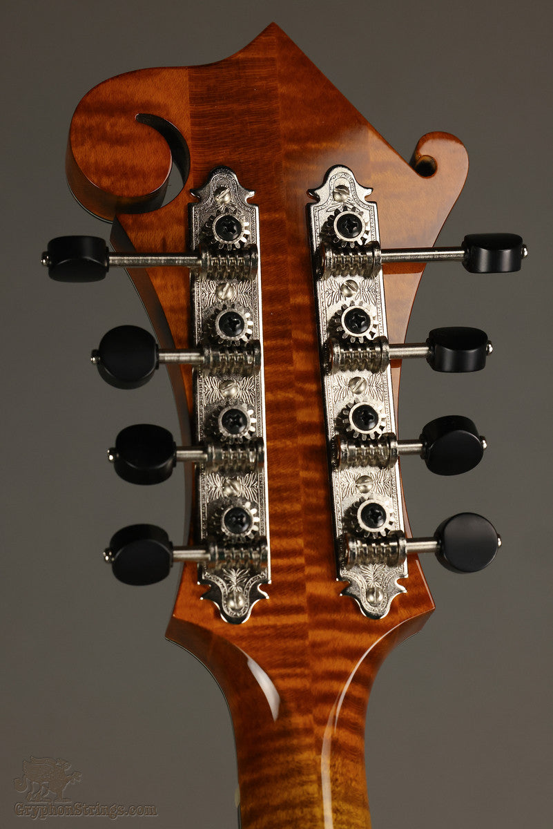 Northfield Big Mon NFB-F5IWN Amber Gloss Italian Spruce Wide Nut - New