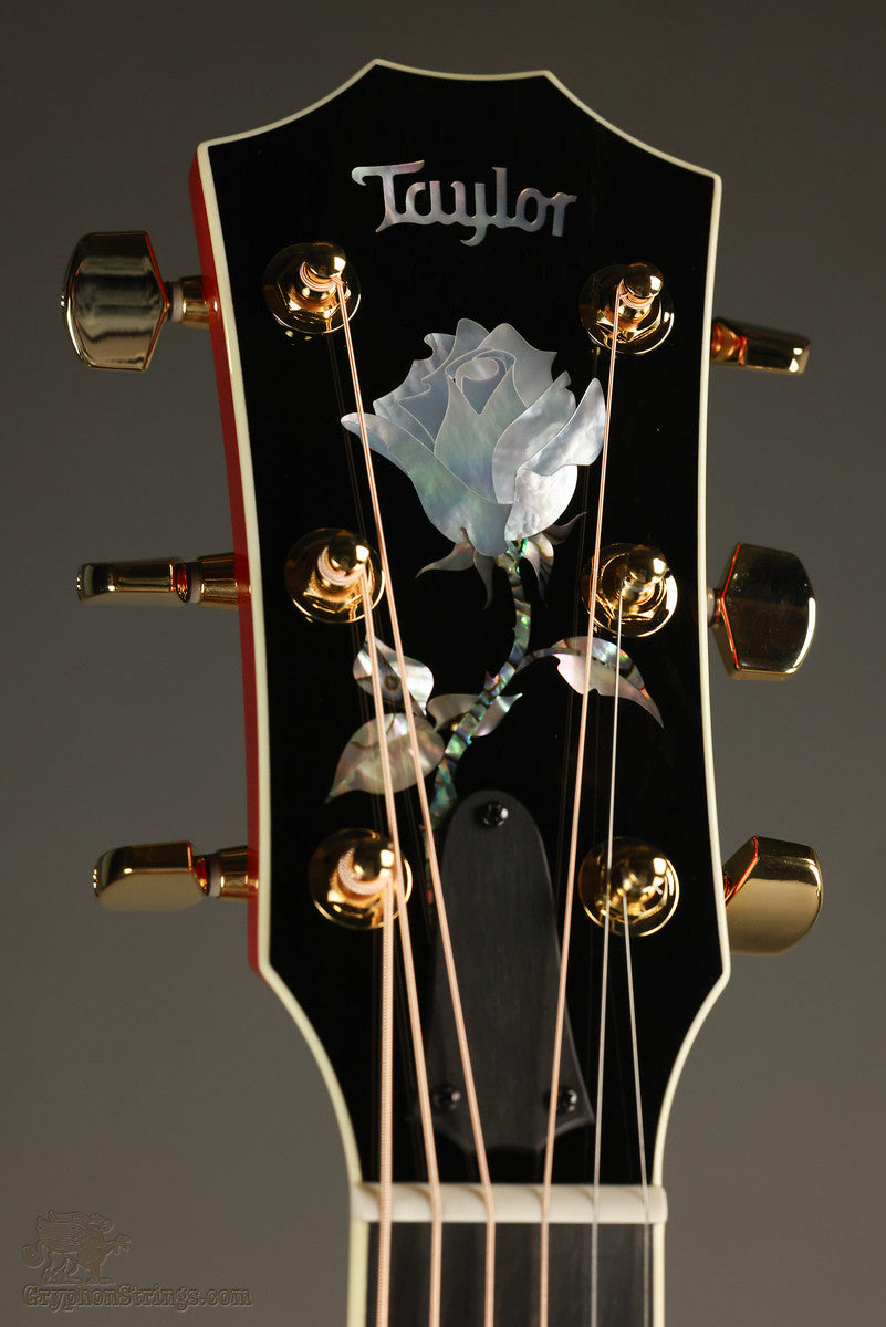 Taylor Doyle Dykes Signature Model Acoustic Electric Guitar - New