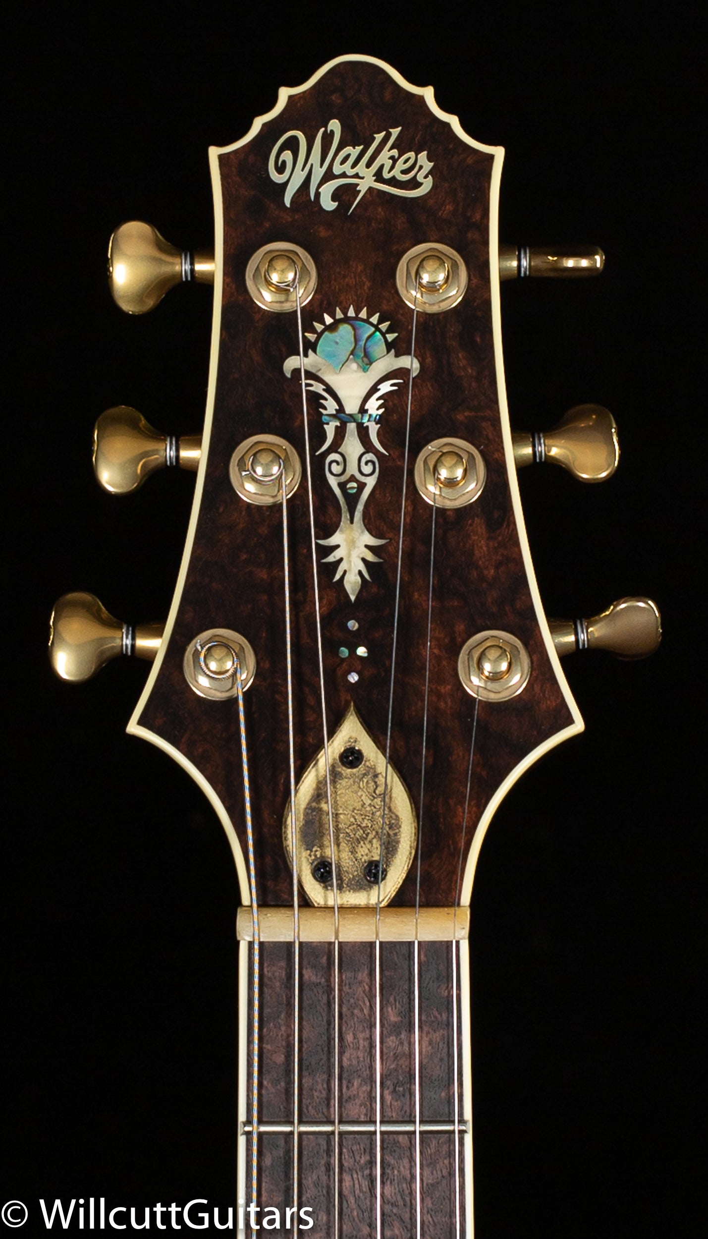 Scott Walker Custom Santa Cruz "Fathom" Double F-Hole (804)