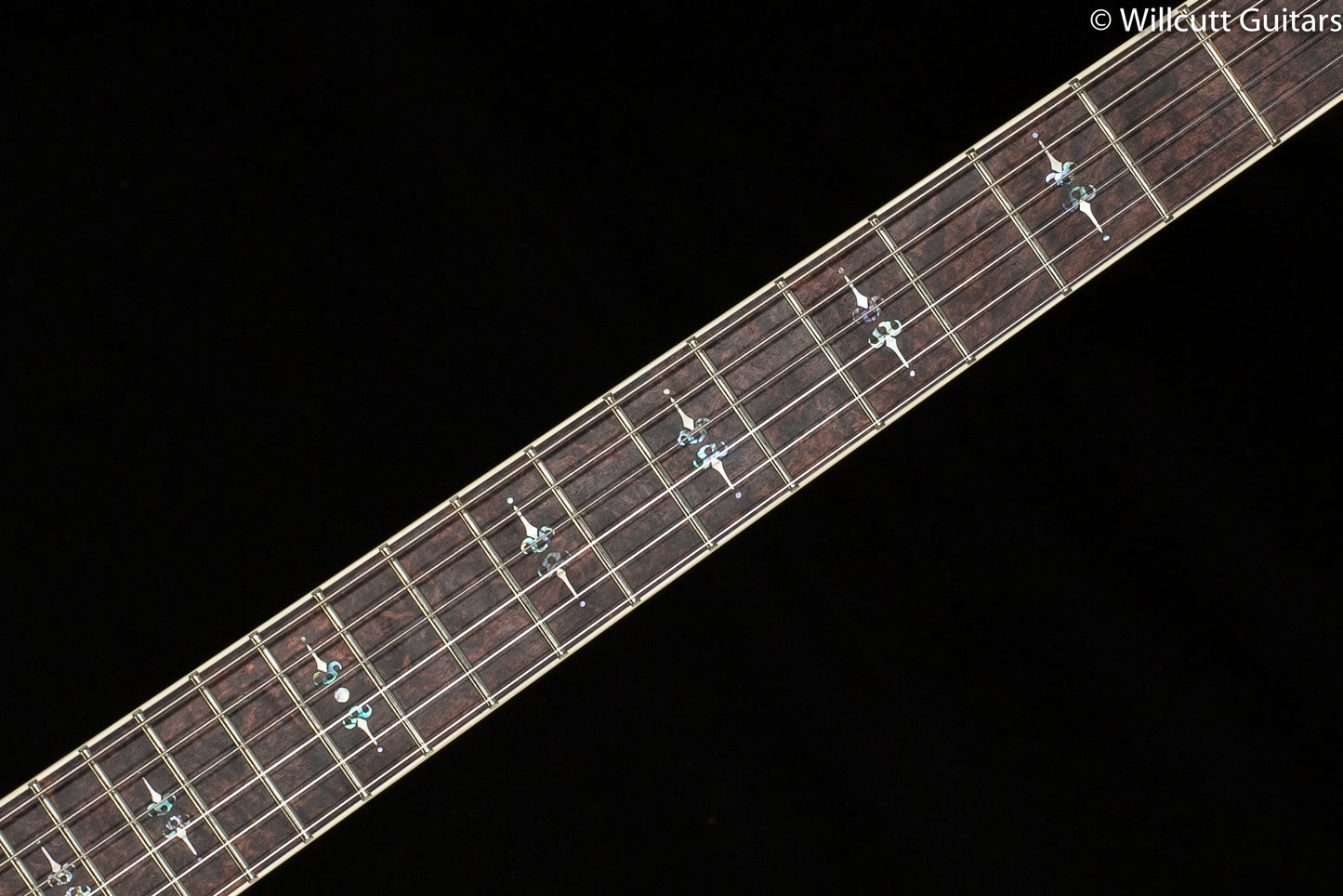 Scott Walker Santa Cruz Hollowbody Legacy Select Rosewood