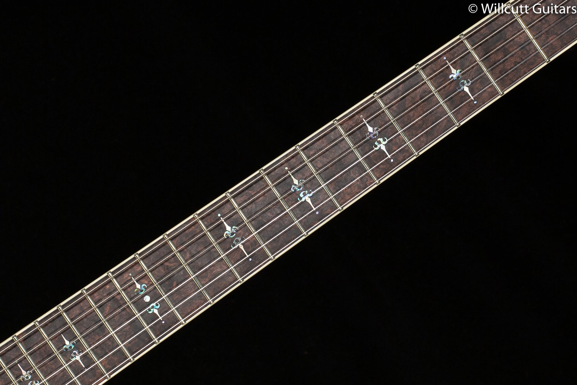 Scott Walker Santa Cruz Hollowbody Legacy Select Rosewood