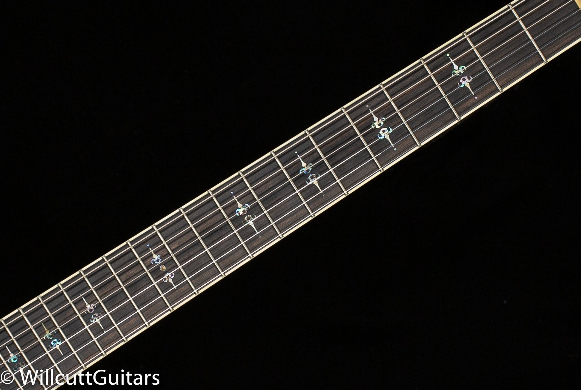 Scott Walker Custom Revelator Deluxe (861)