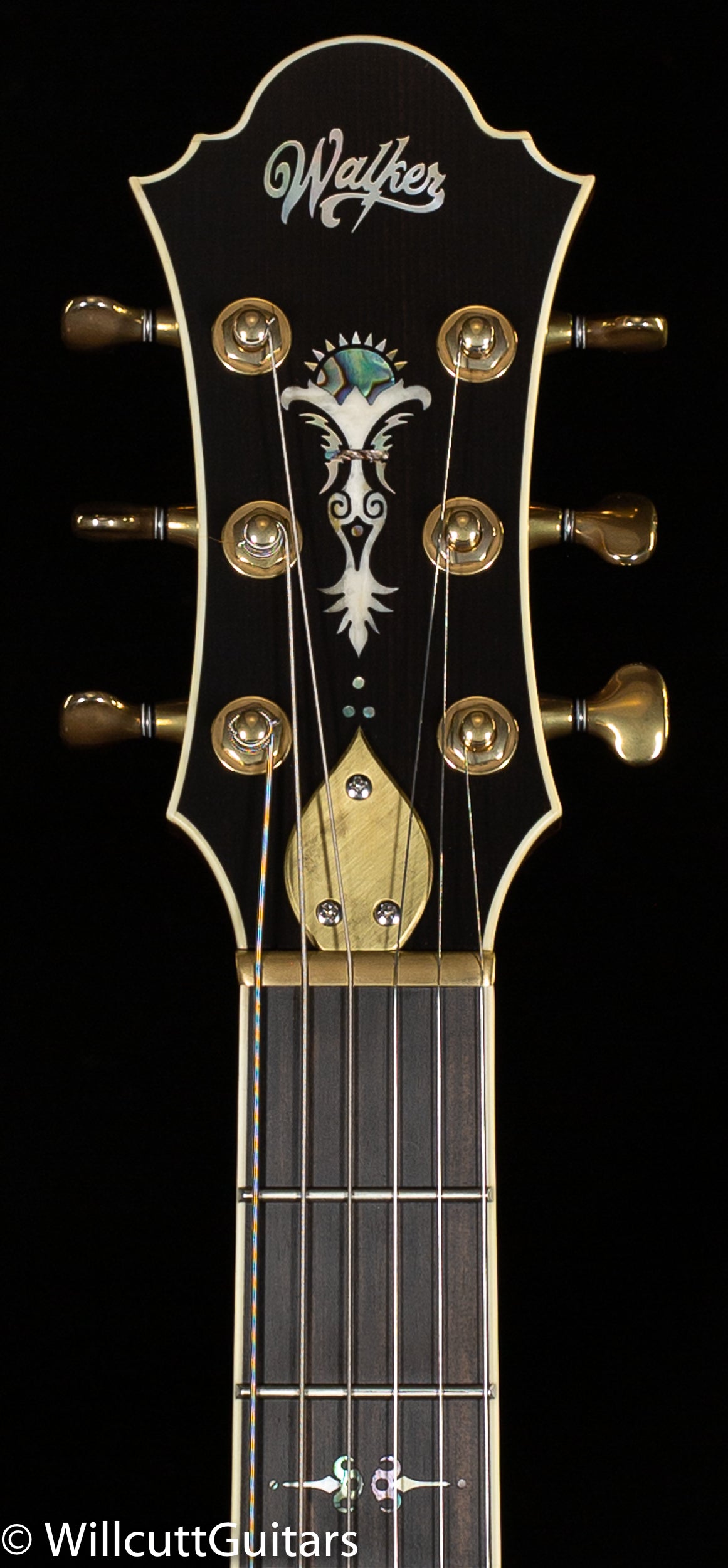 Scott Walker Custom Revelator Deluxe (861)