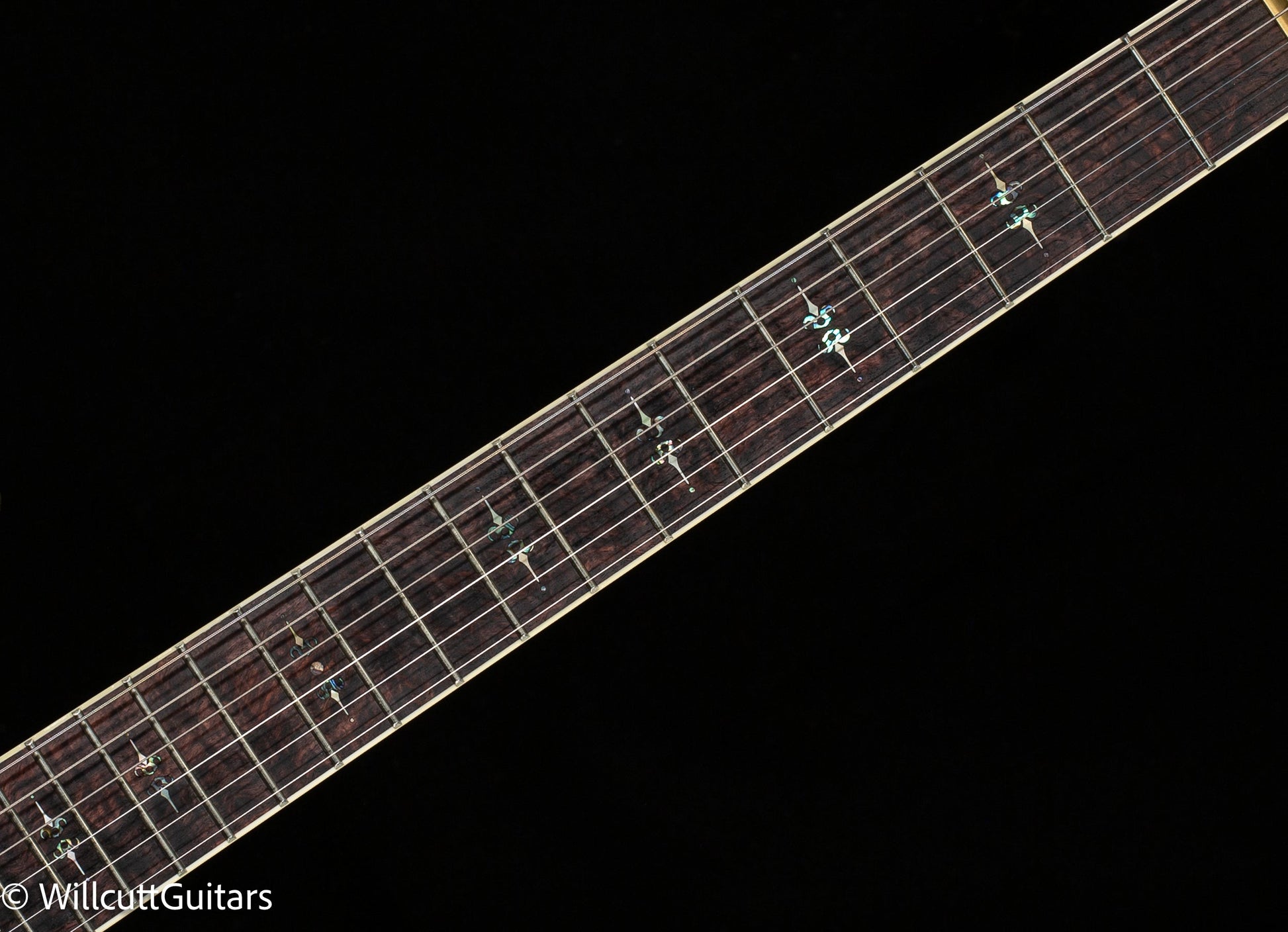 Scott Walker Custom Santa Cruz Legacy (901)