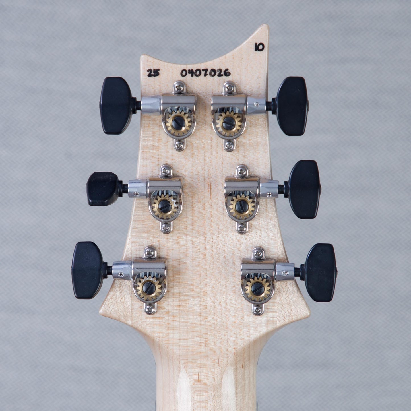 PRS Custom 24 Floyd 10-Top Electric Guitar - Aurora Borealis - #250407026
