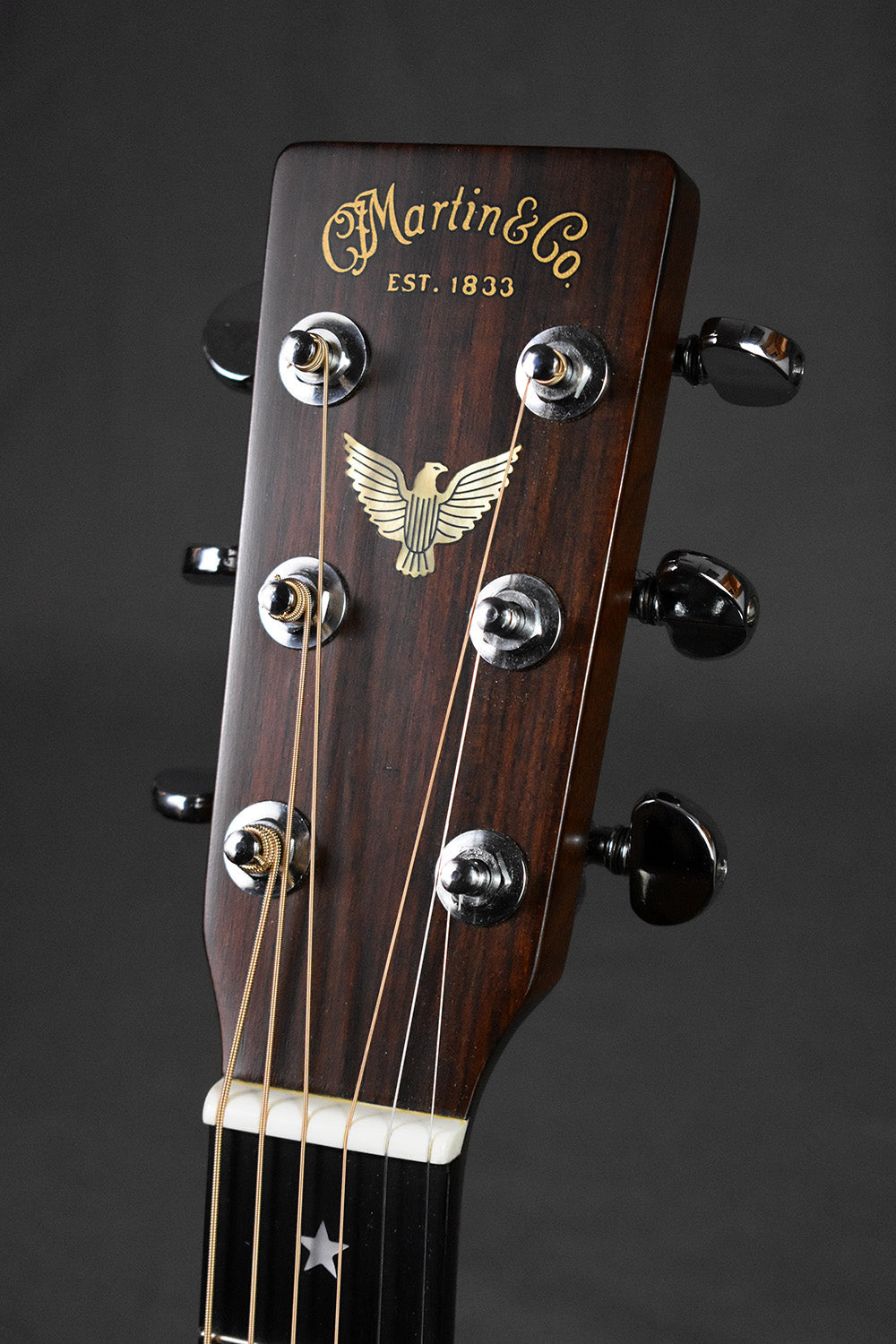 1976 Martin D-76 Bicentennial Limited Edition #1661