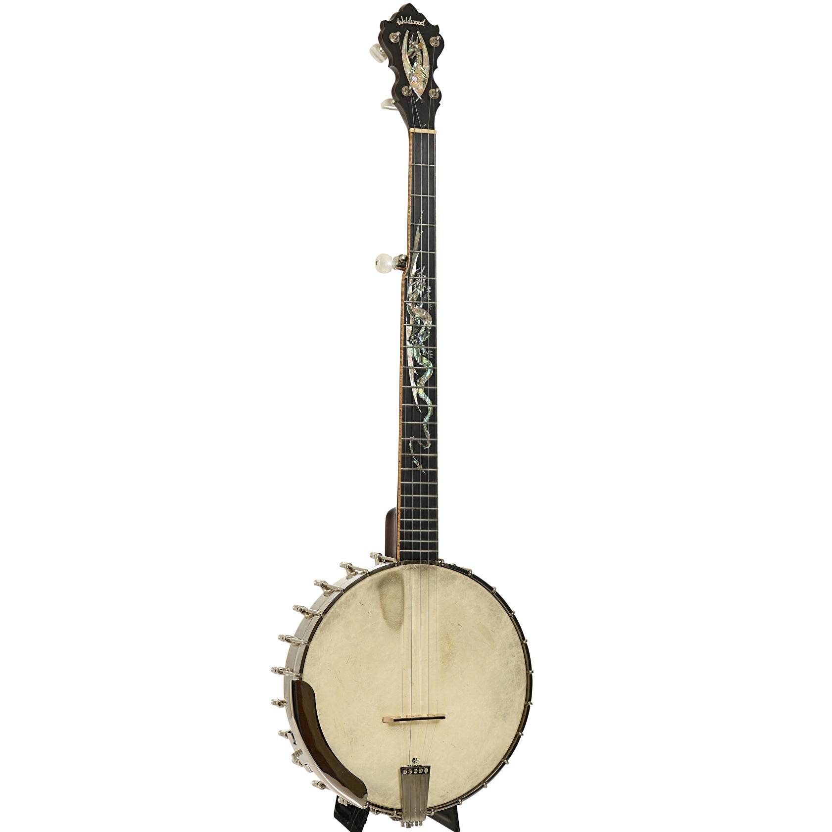 Wildwood Brazilian Custom Dragon Open Back Banjo (2004)