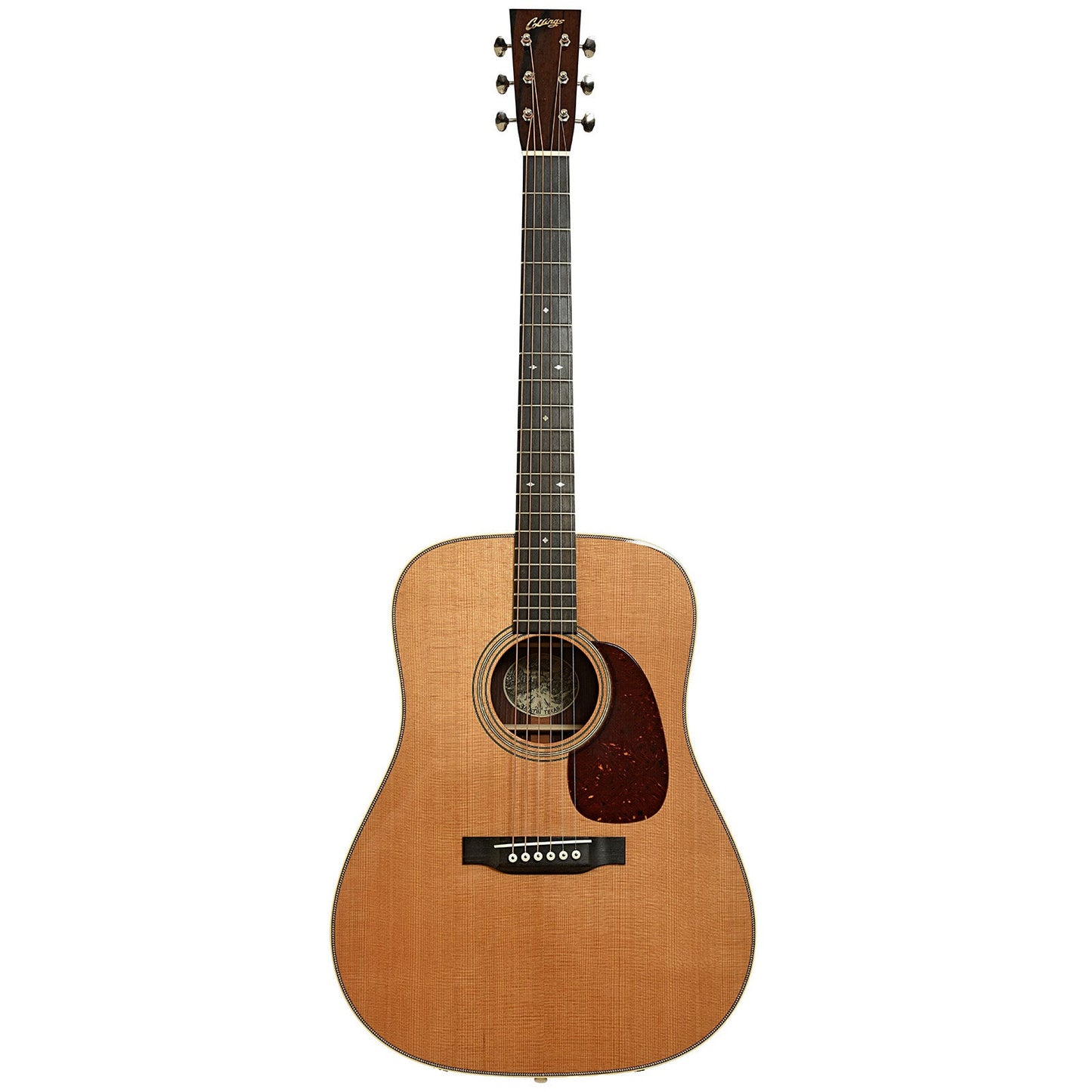 Collings D2H Traditional Acoustic Guitar (2022)