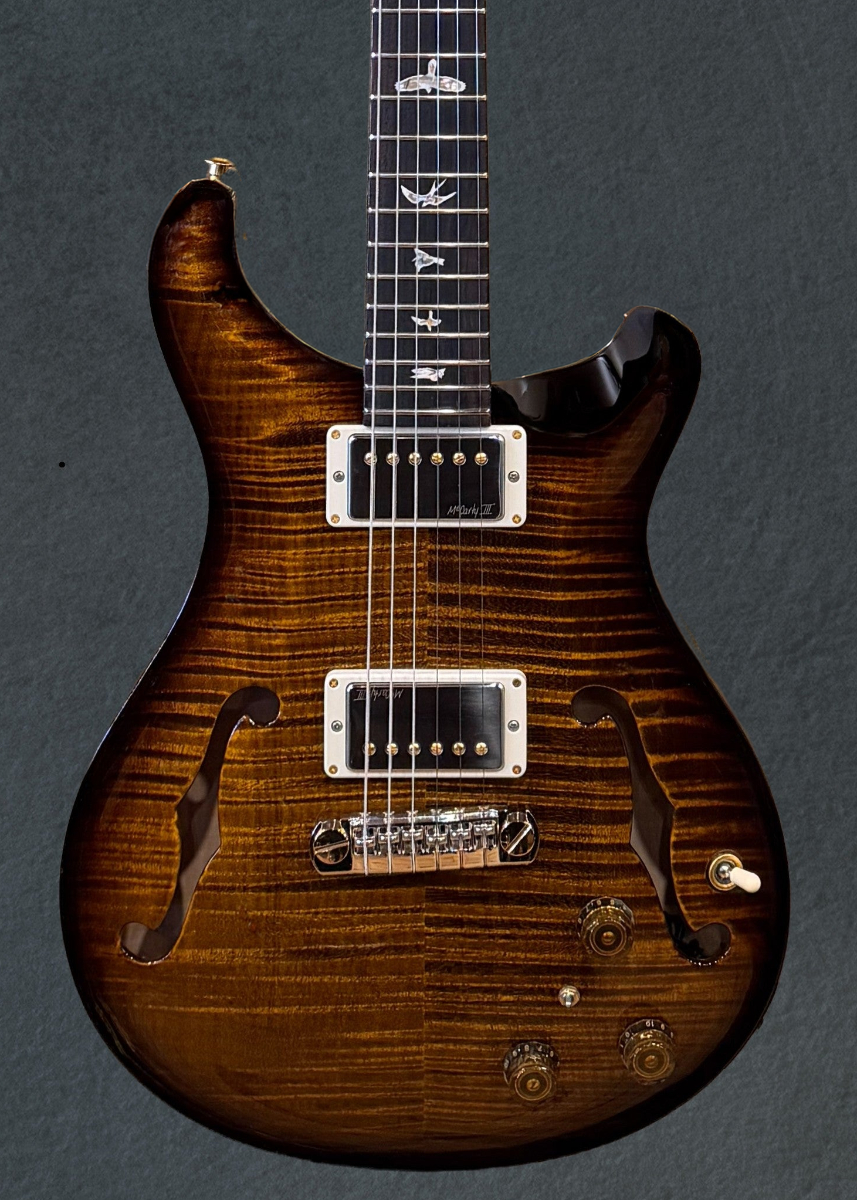 Hollowbody II Piezo 10 Top - Black Gold Wraparound Burst