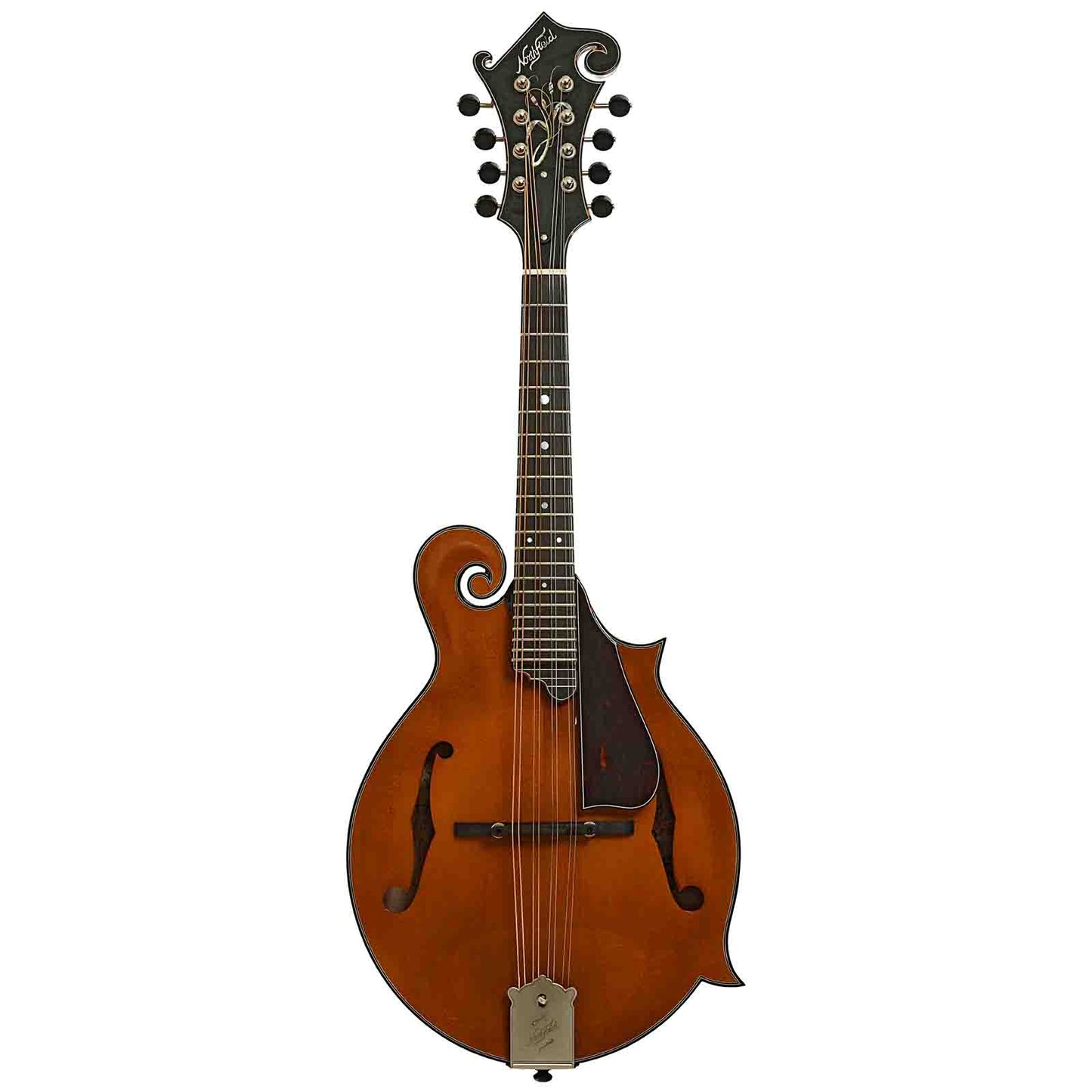 Northfield Artist Series Limited Edition F-Style Mandolin & Case, Italian Spruce
