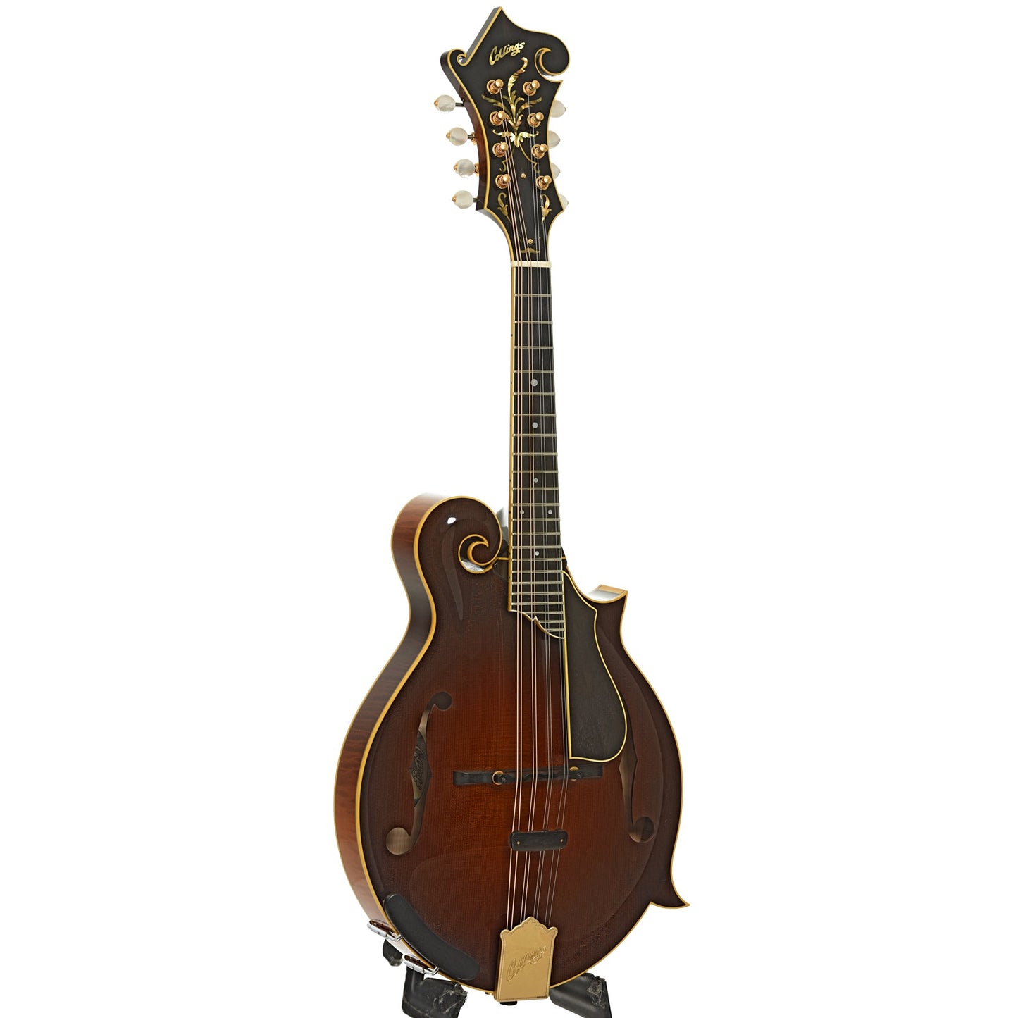 Collings MF-5 Varnish Mandolin (2017)