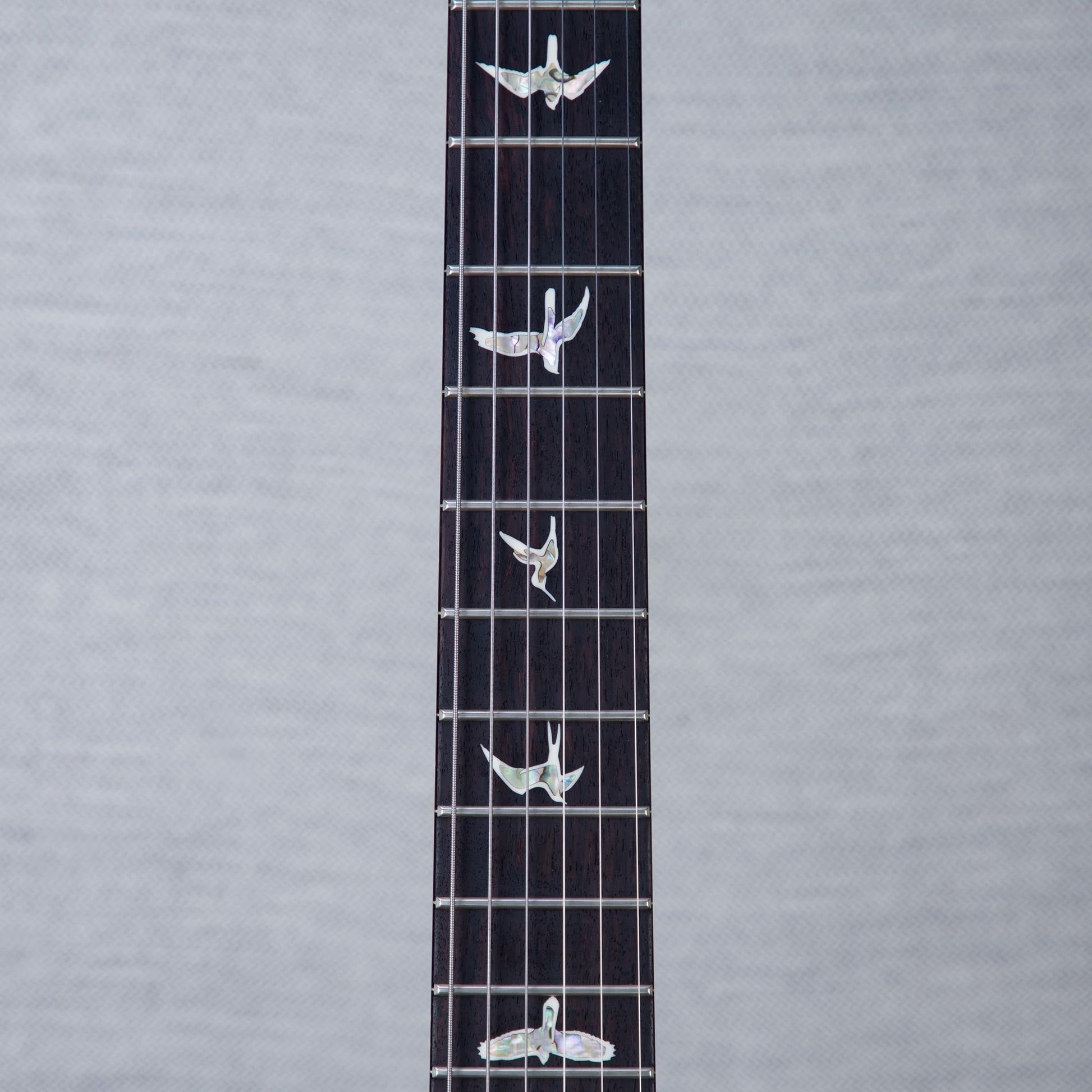 PRS Custom 24 10-Top Solid Body Electric Guitar - Aurora Borealis - #0410275