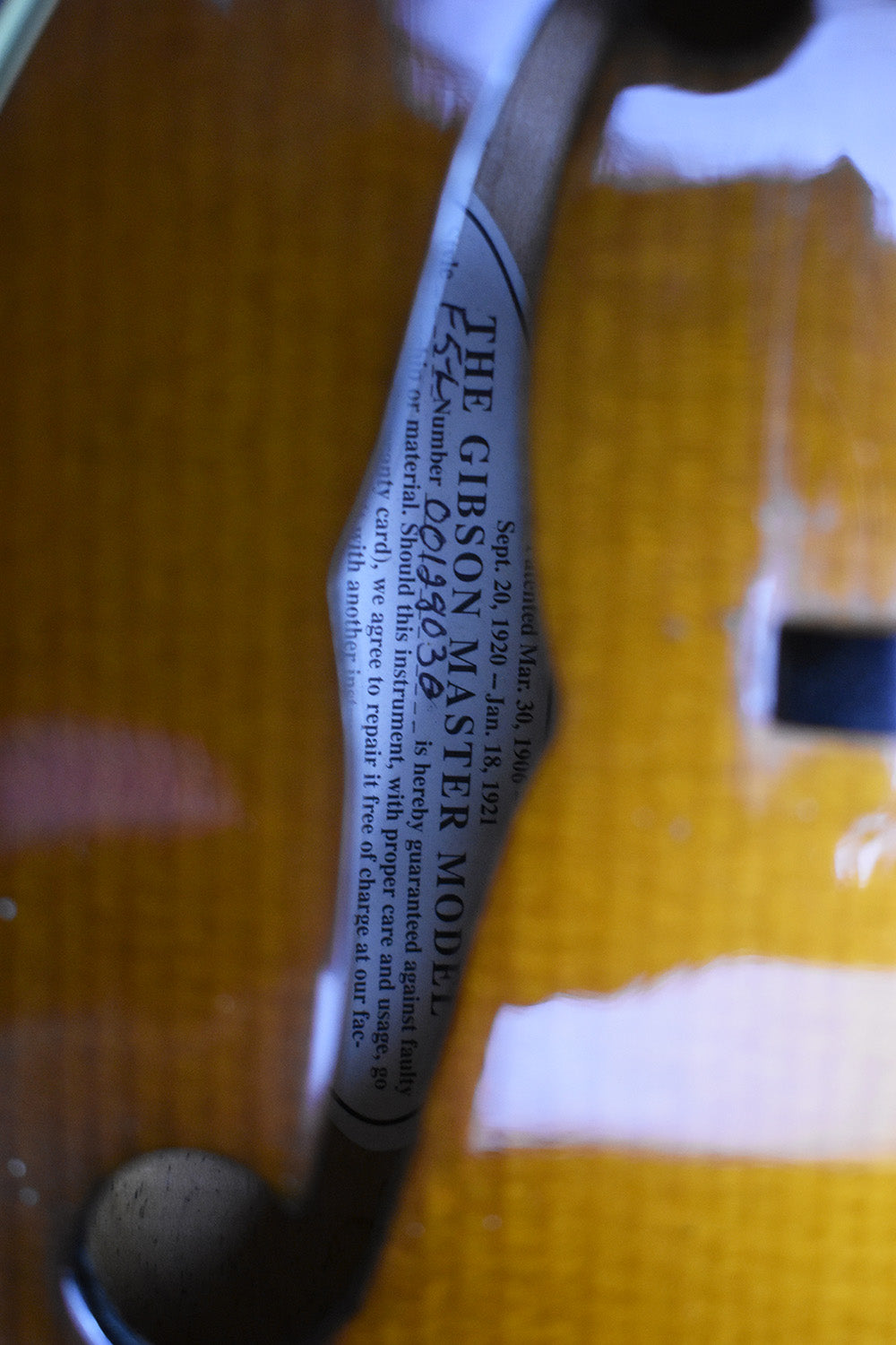 2000 Gibson F-5L Fern (Signed by Charlie Derrington)