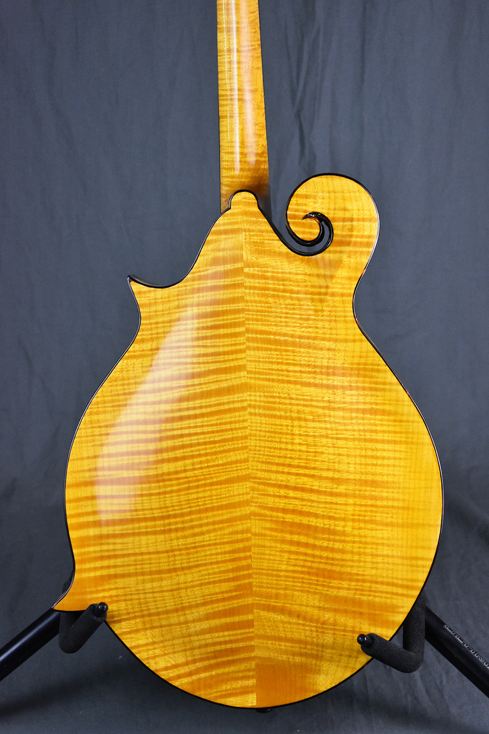 2000 Old Wave Mandola