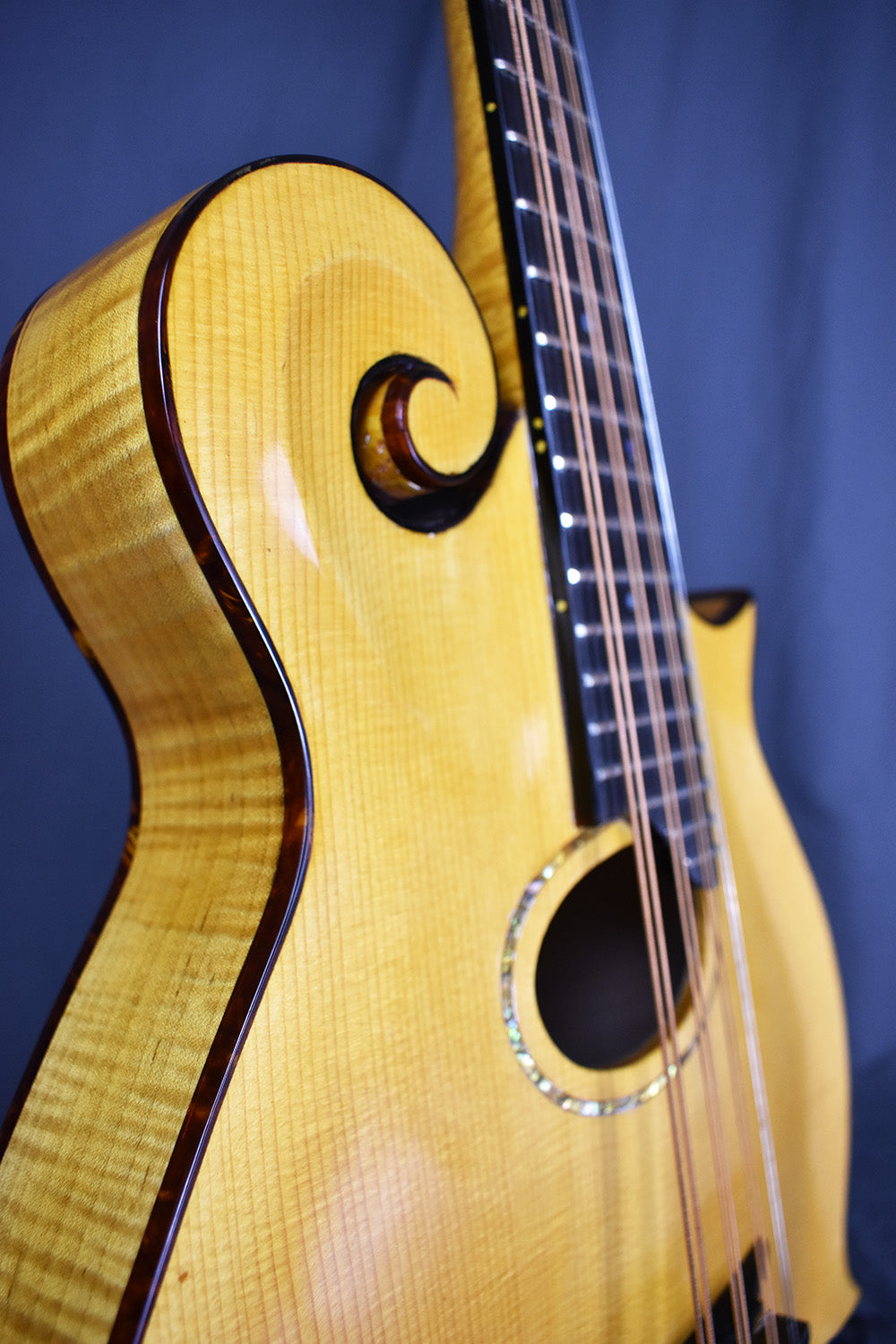 2000 Old Wave Mandola