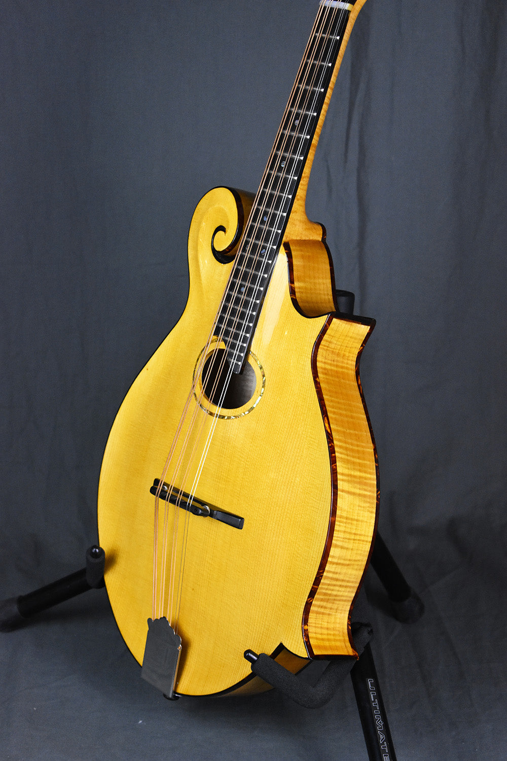 2000 Old Wave Mandola