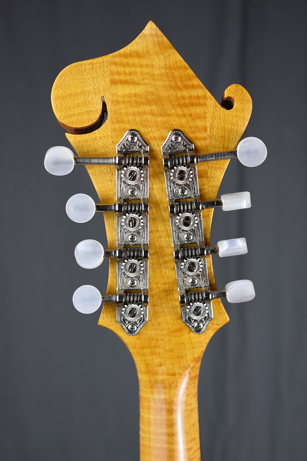 2000 Old Wave Mandola