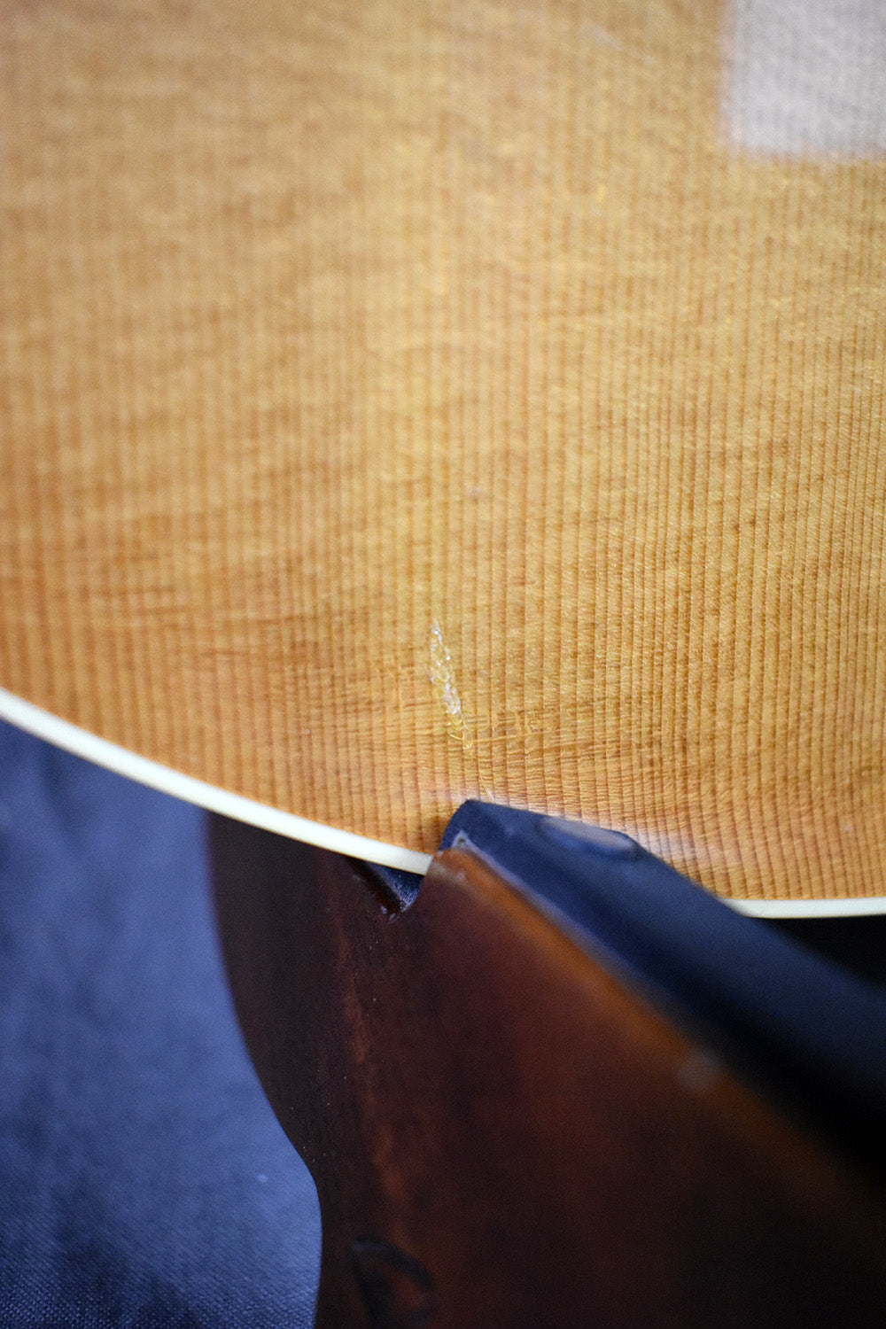 2001 Benedetto Benny 6