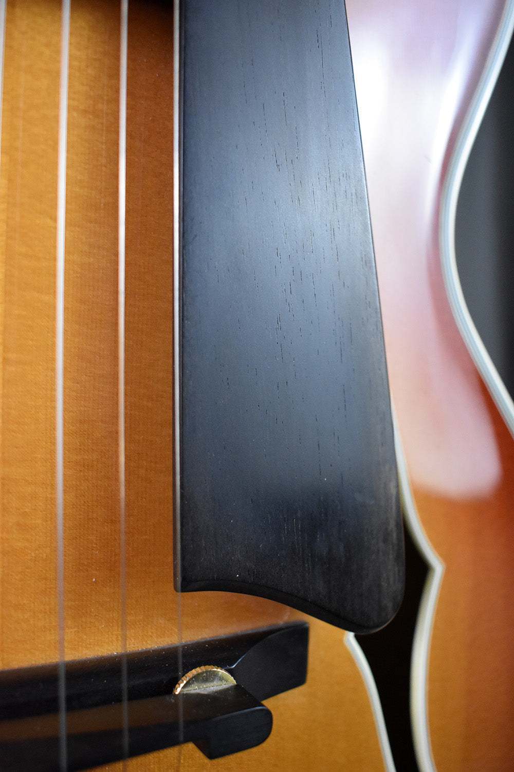 2004 Buscarino Monarch
