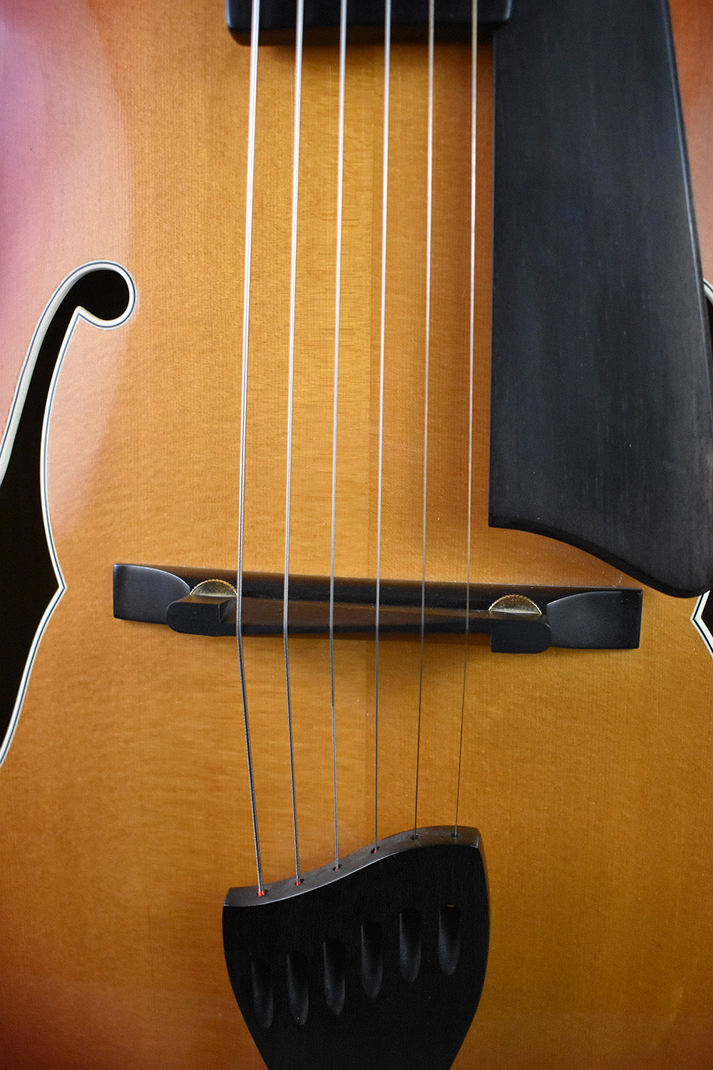 2004 Buscarino Monarch