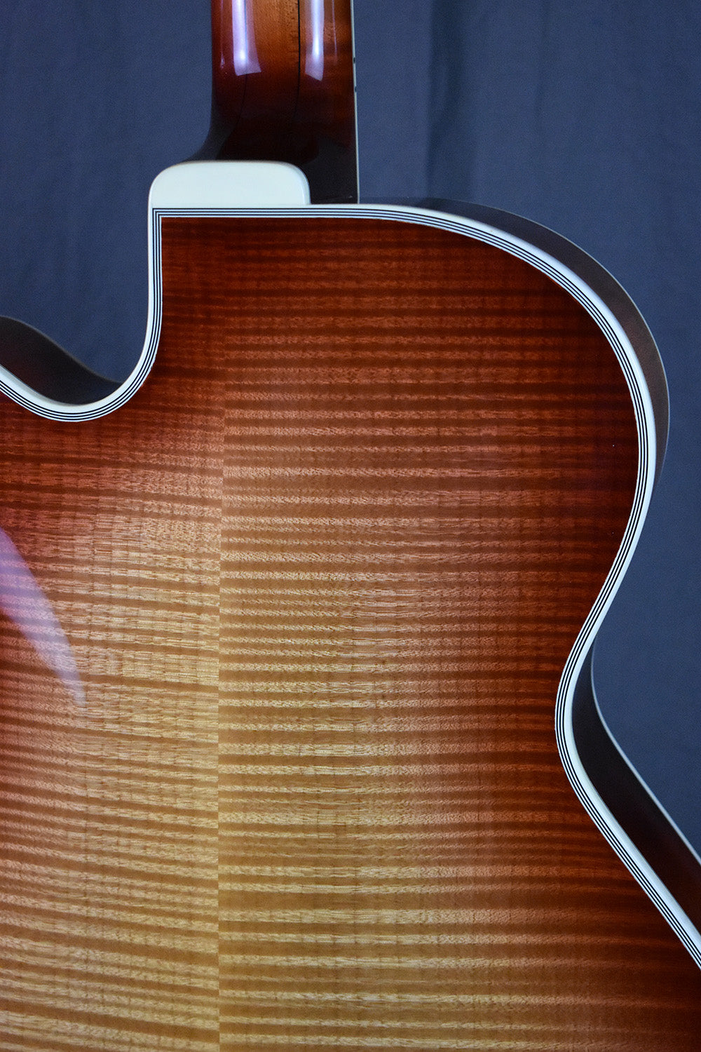 2004 Buscarino Monarch