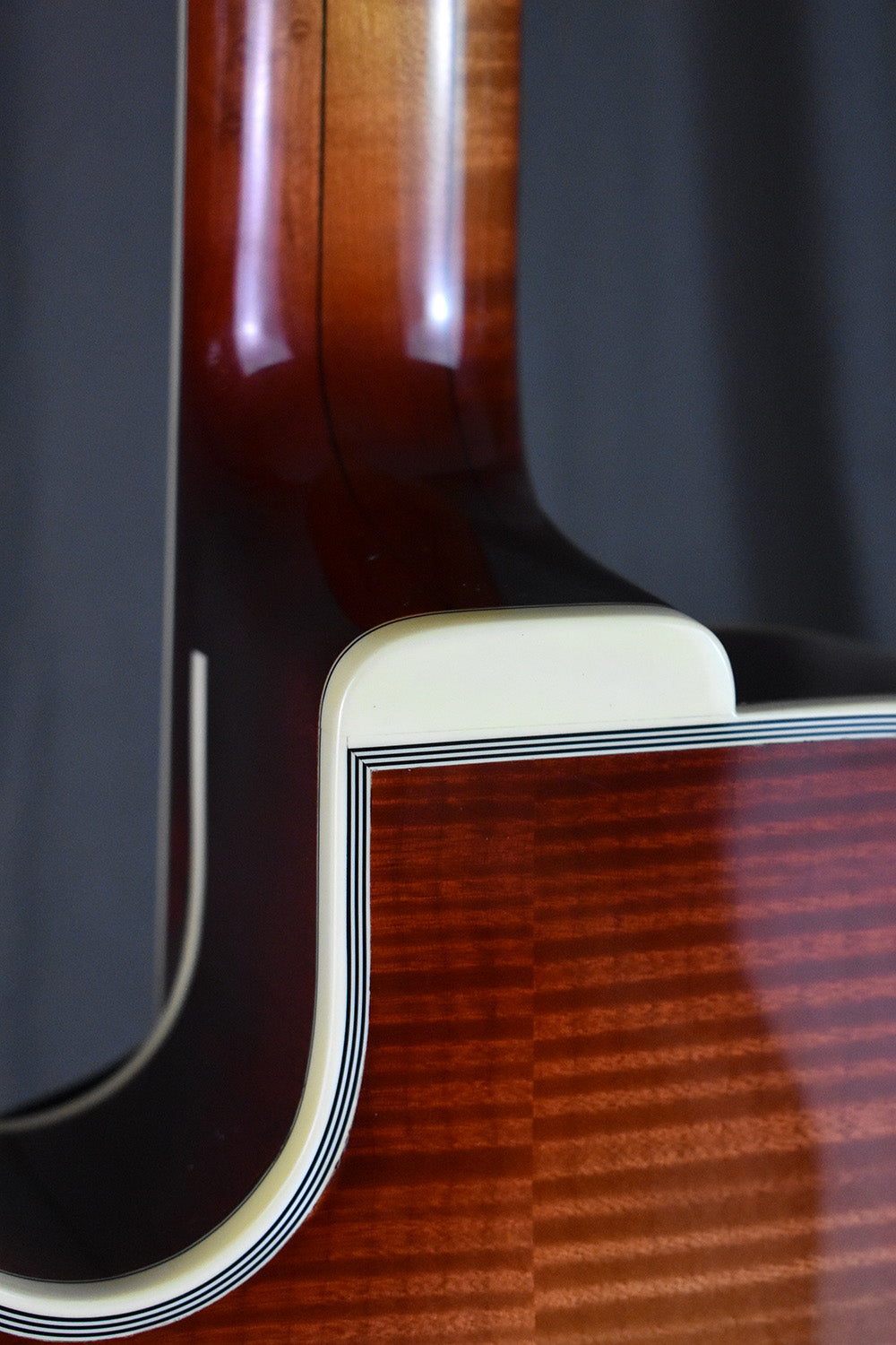 2004 Buscarino Monarch
